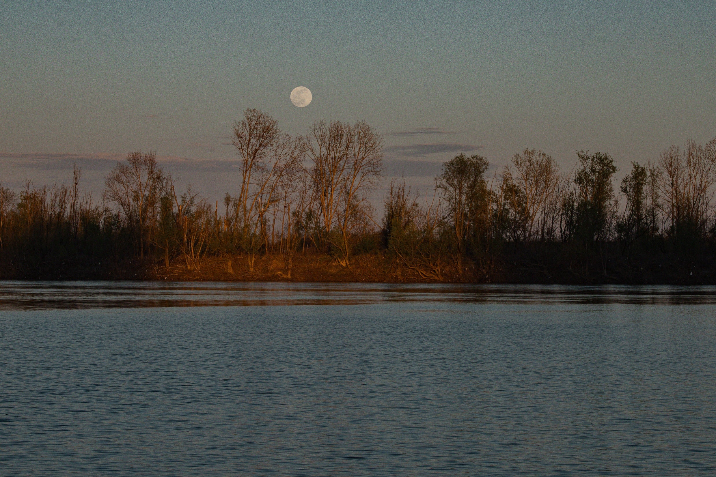   Copyright Opera Campi