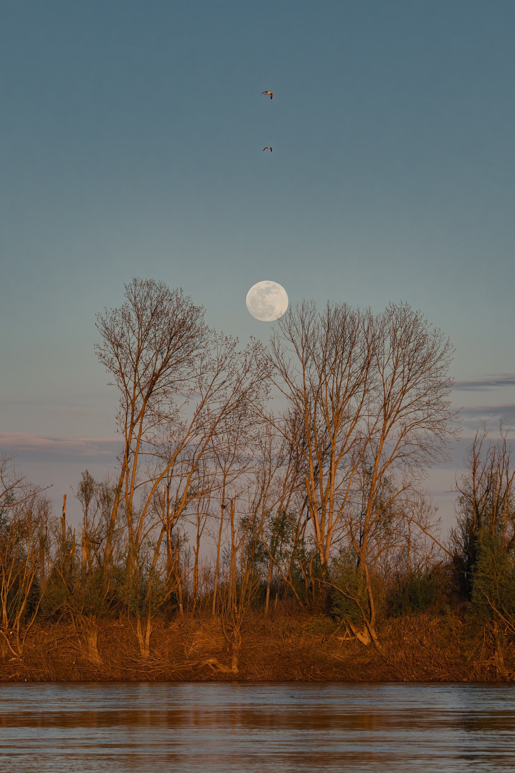   Copyright Opera Campi