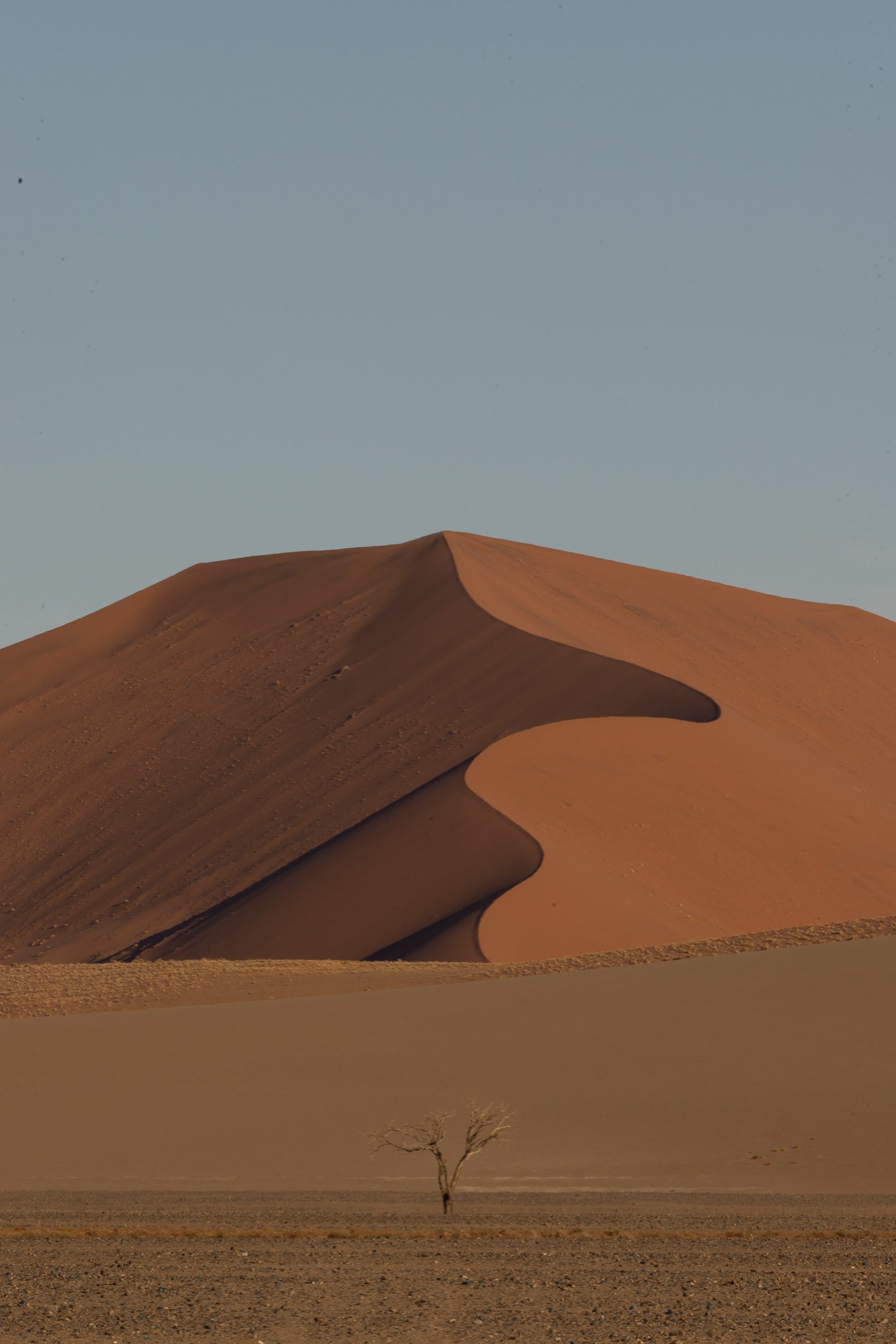   Copyright Opera Campi