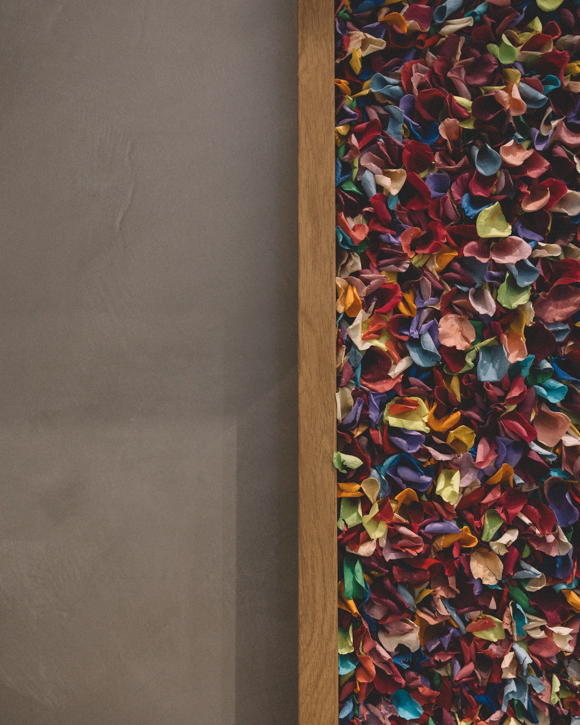   Copyright Opera Campi