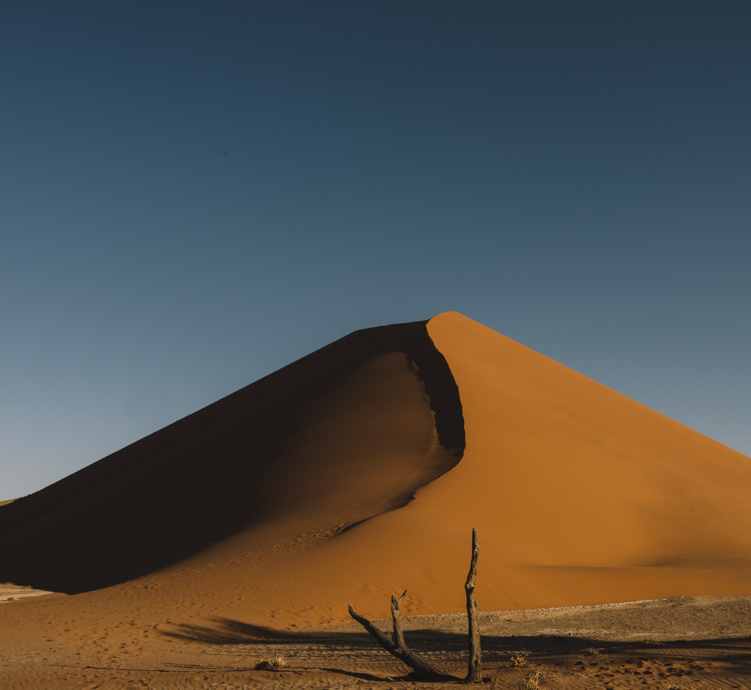   Copyright Opera Campi