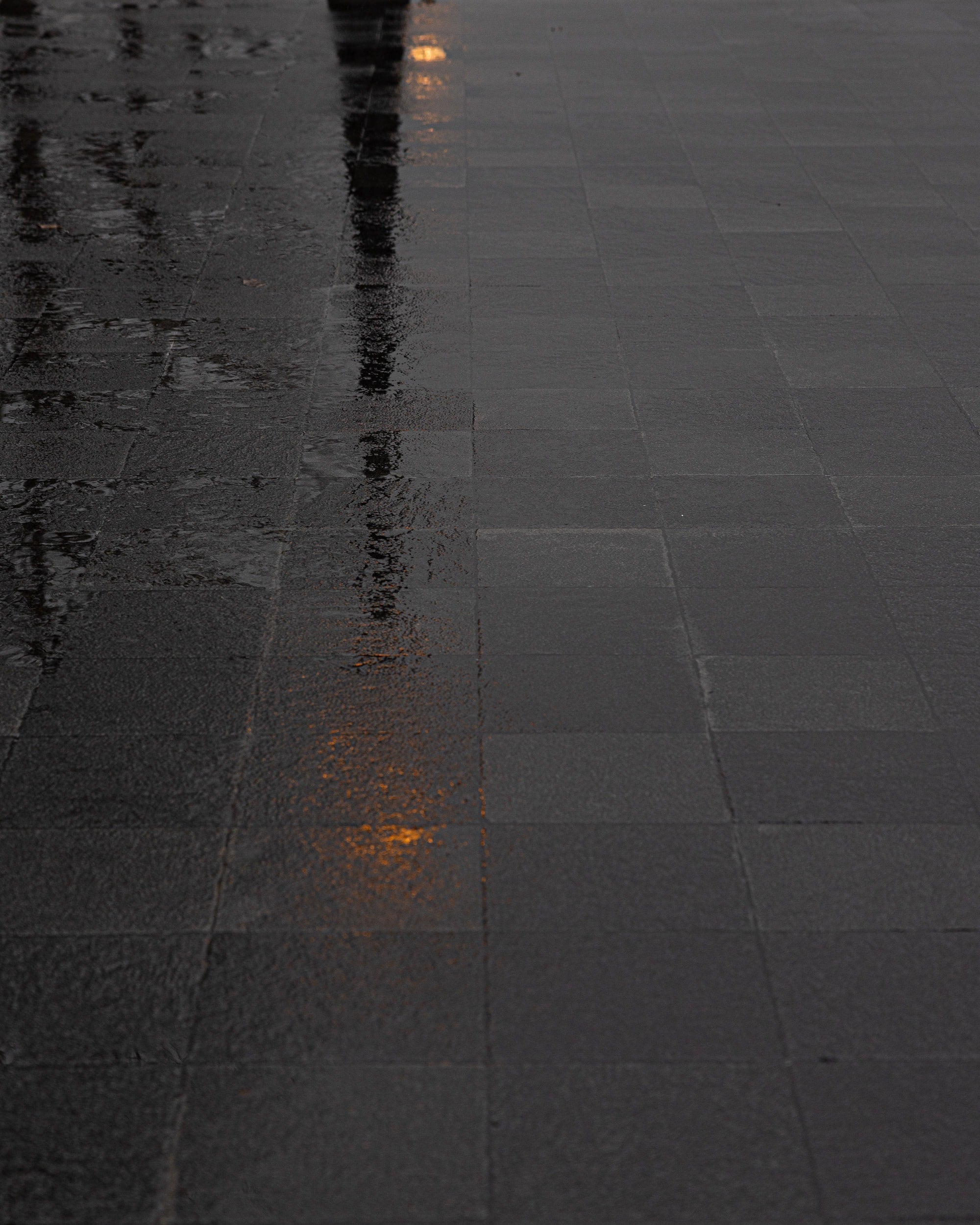   Copyright Opera Campi