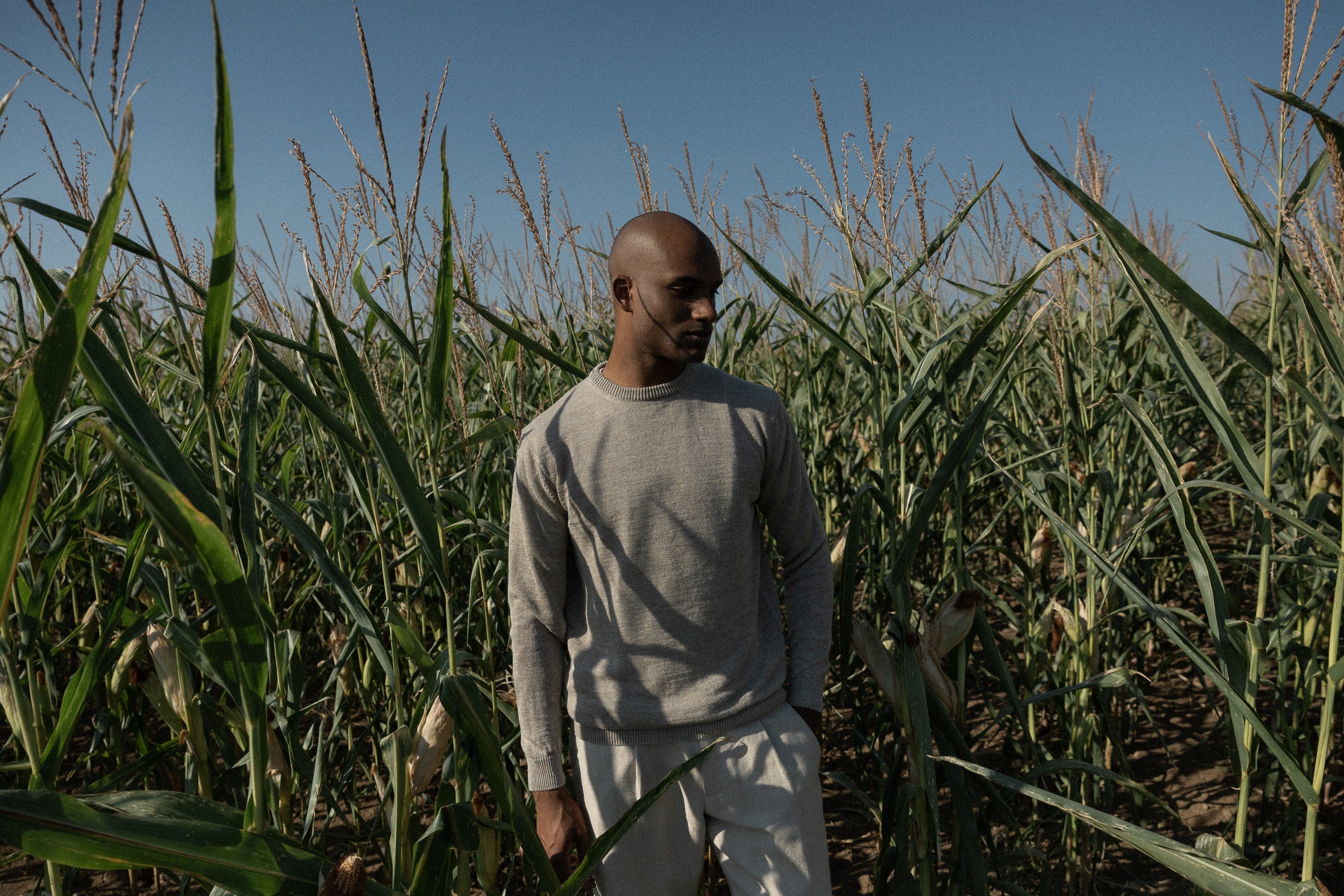   Copyright Opera Campi