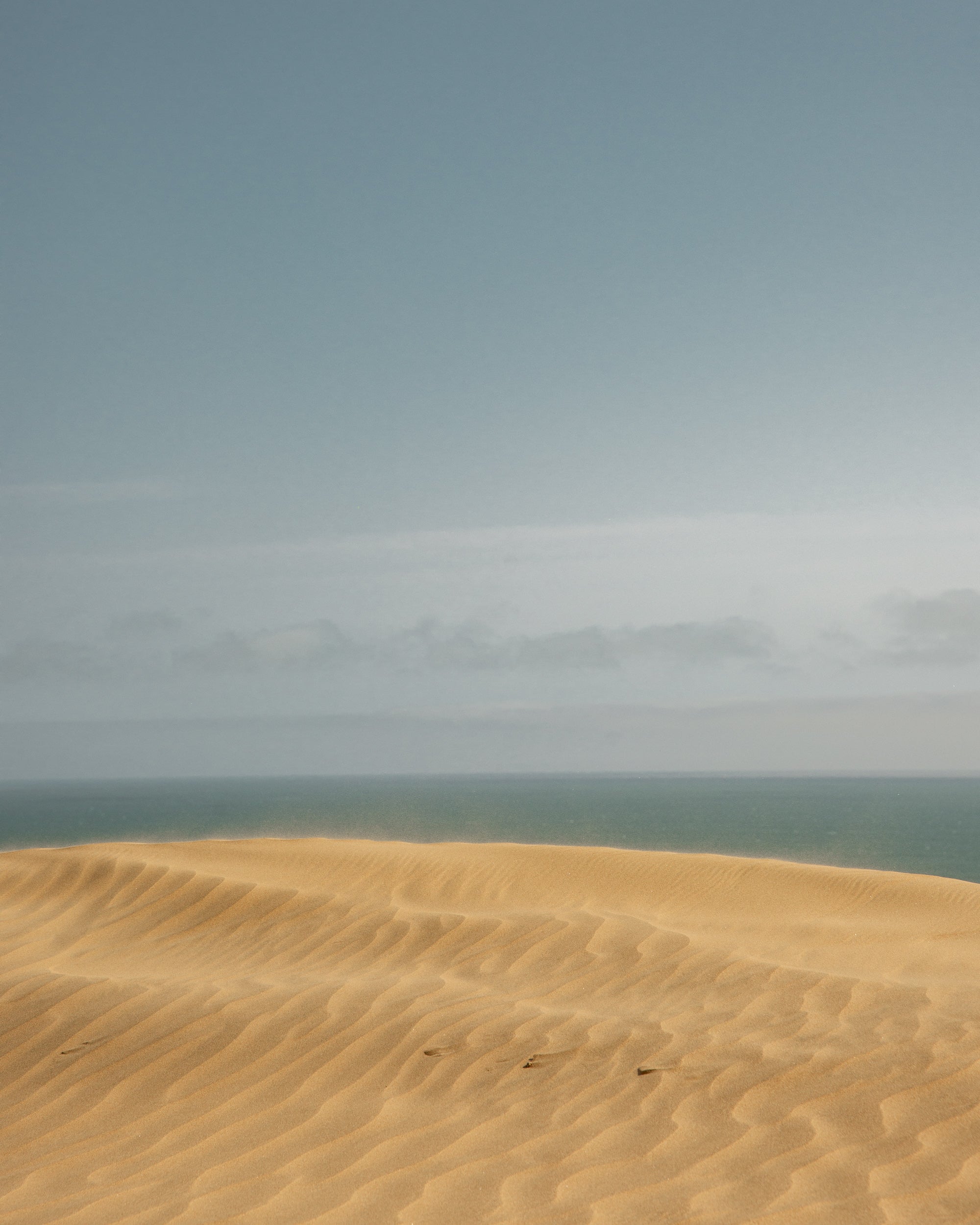   Copyright Opera Campi