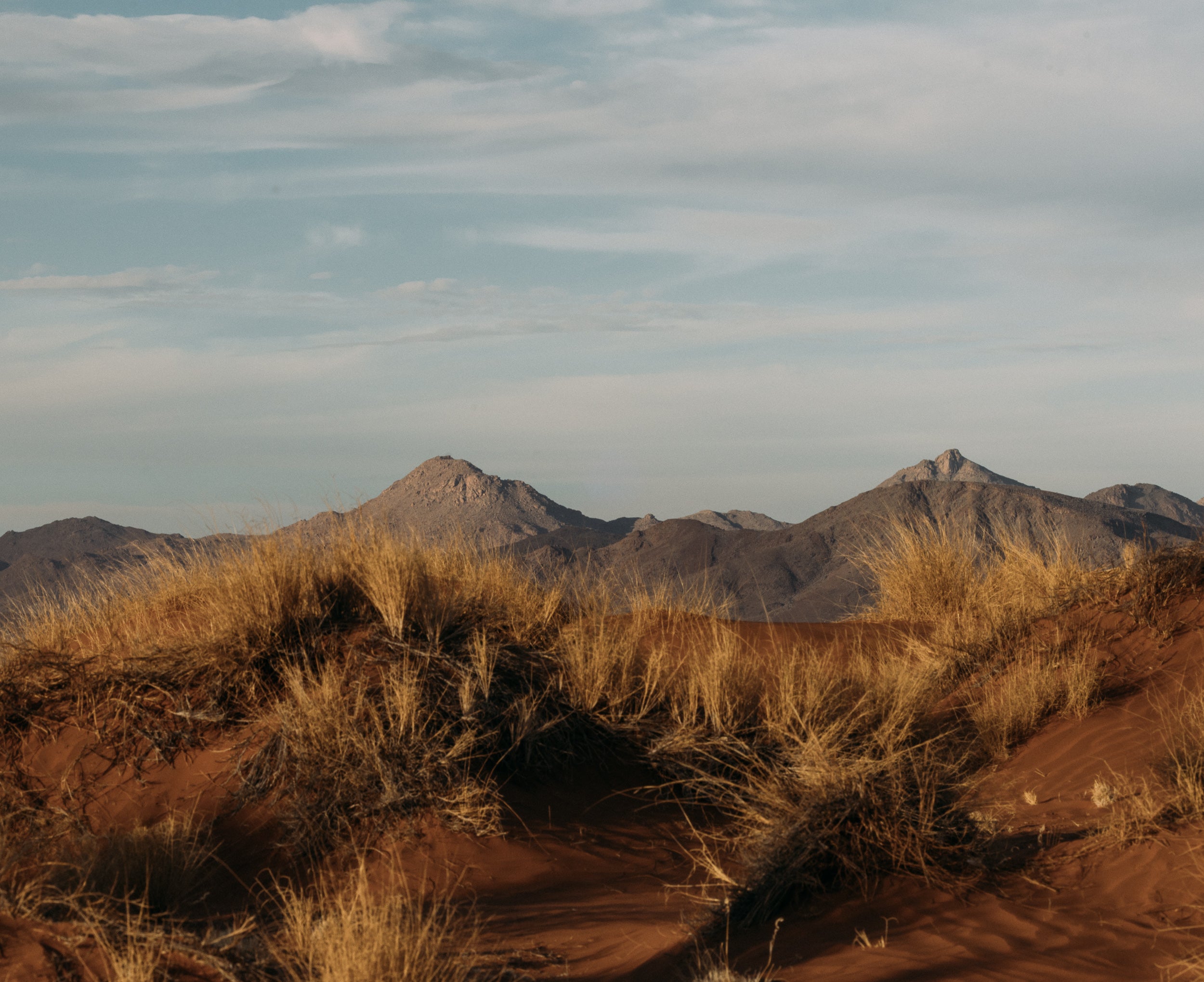   Copyright Opera Campi