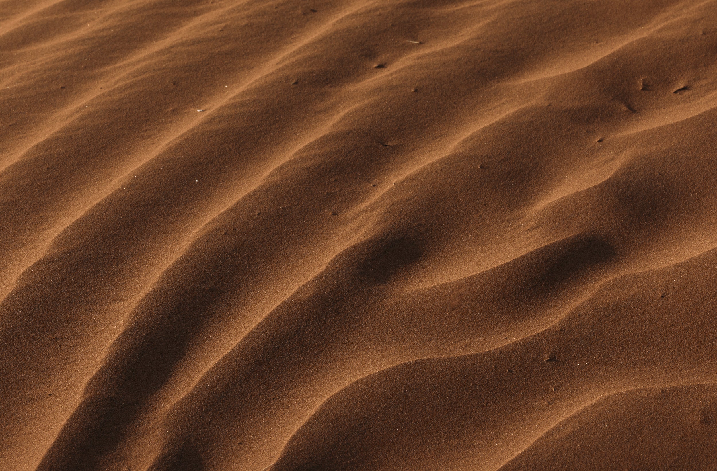   Copyright Opera Campi