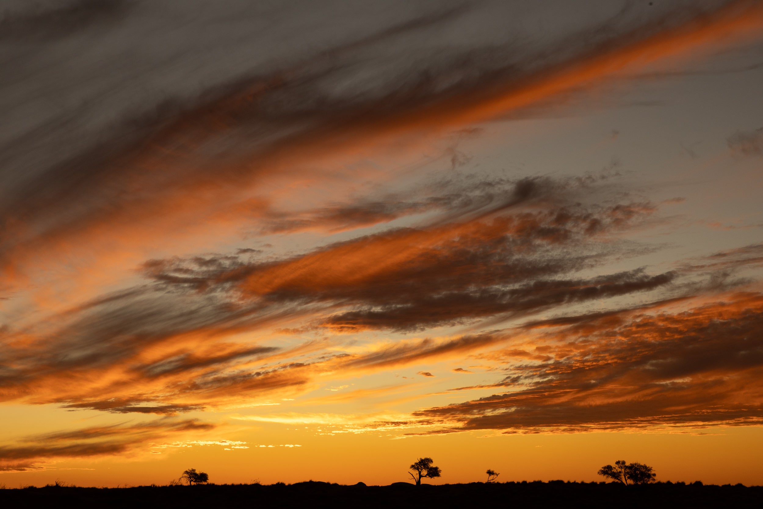   Copyright Opera Campi