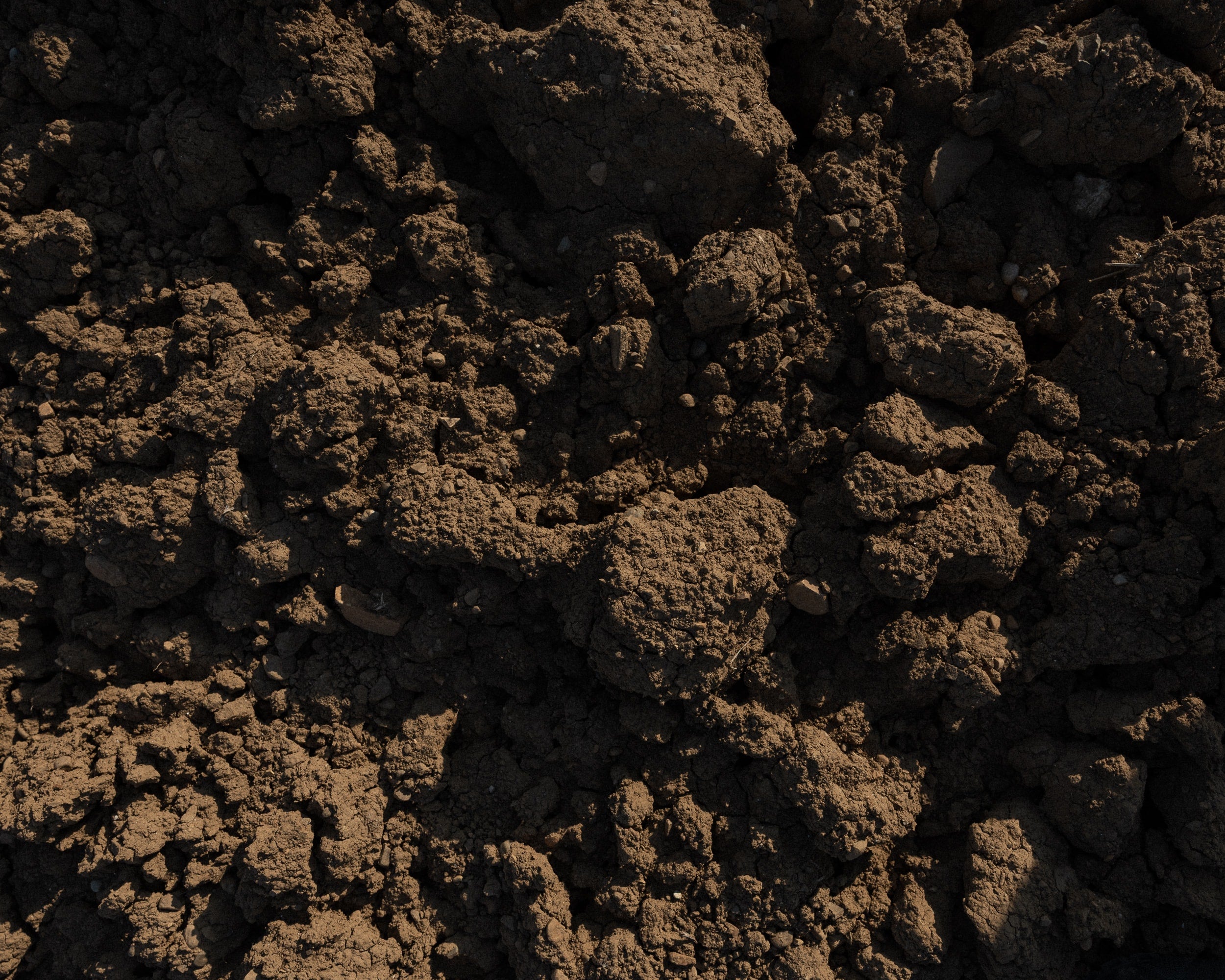   Copyright Opera Campi