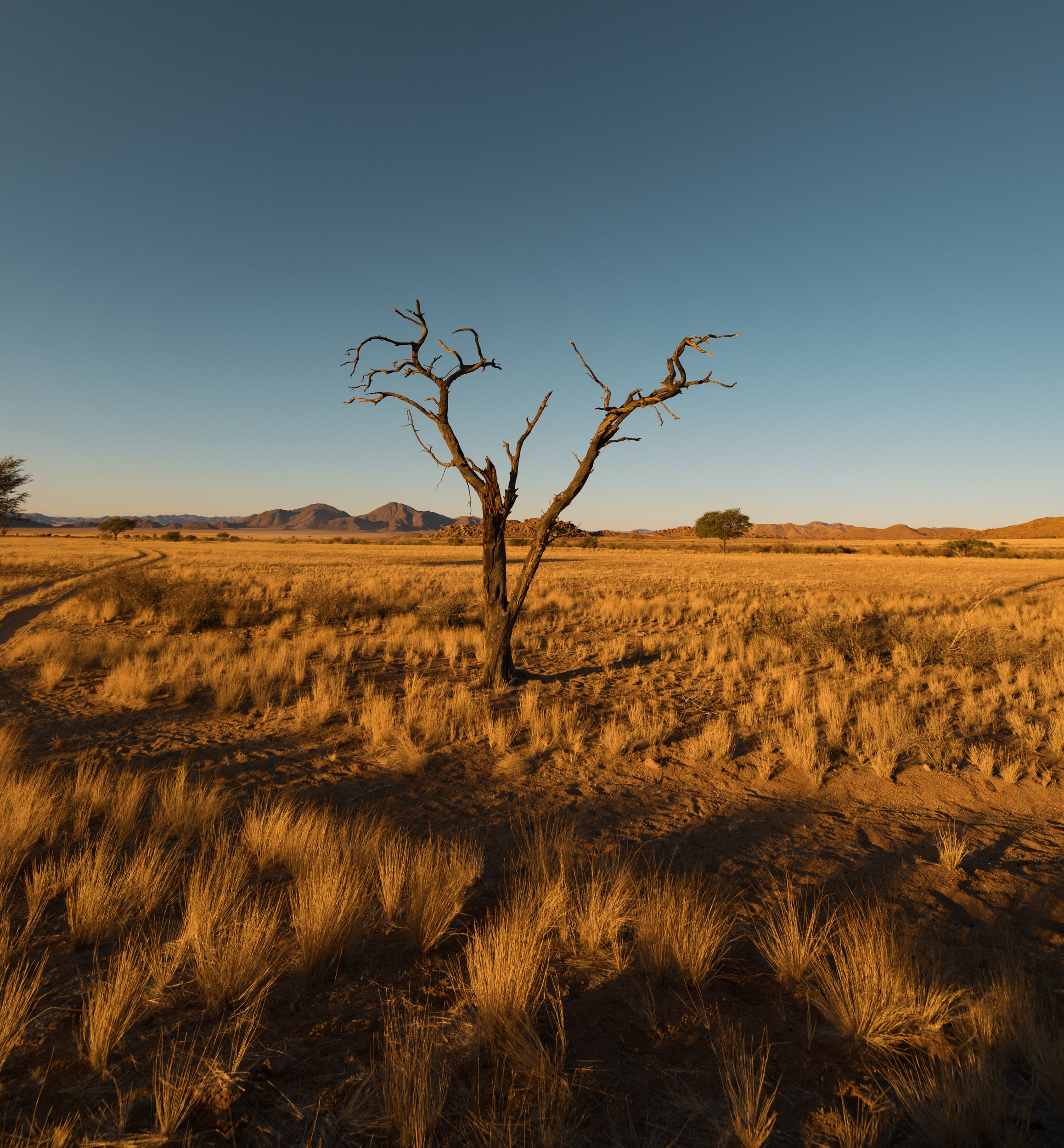   Copyright Opera Campi