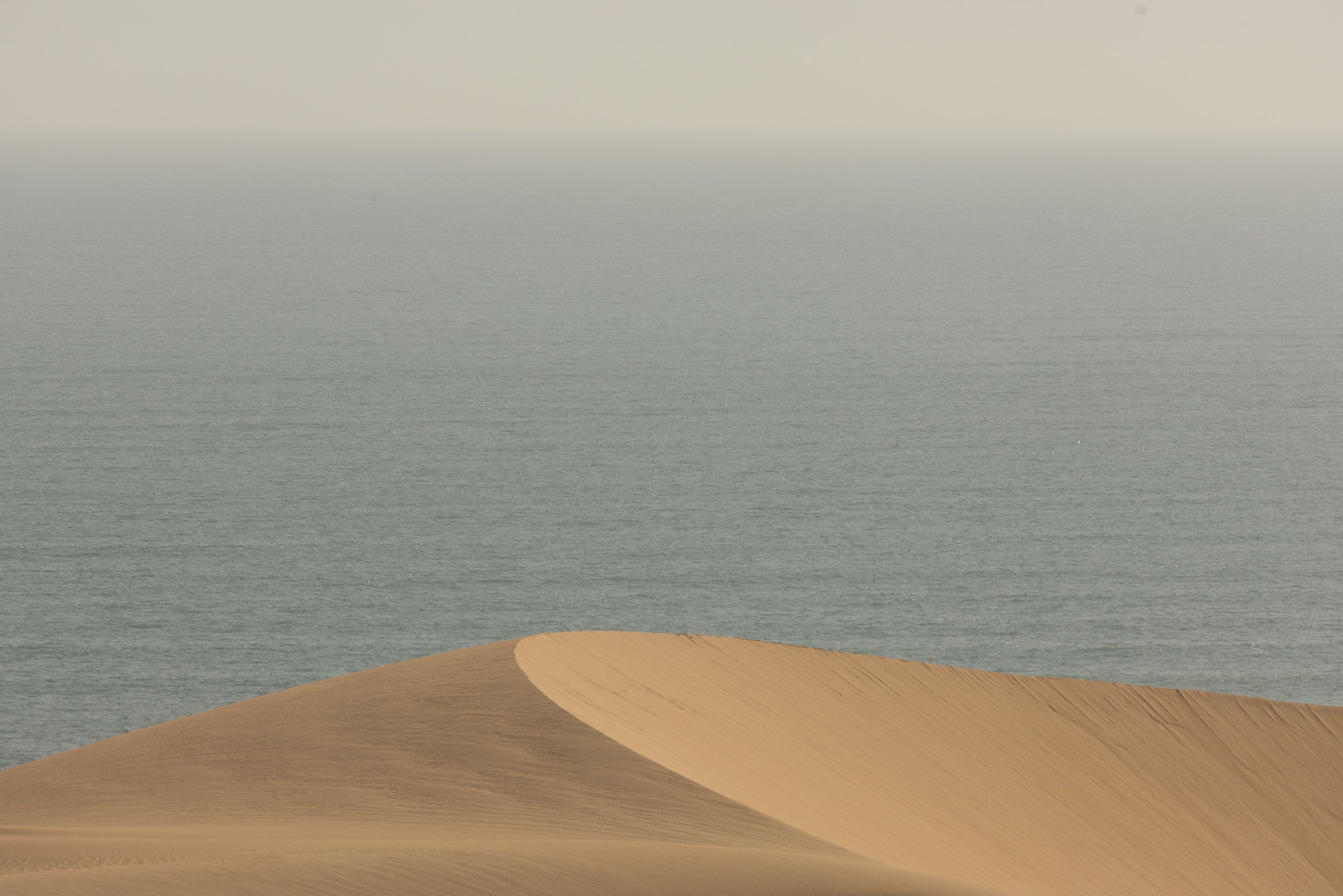   Copyright Opera Campi