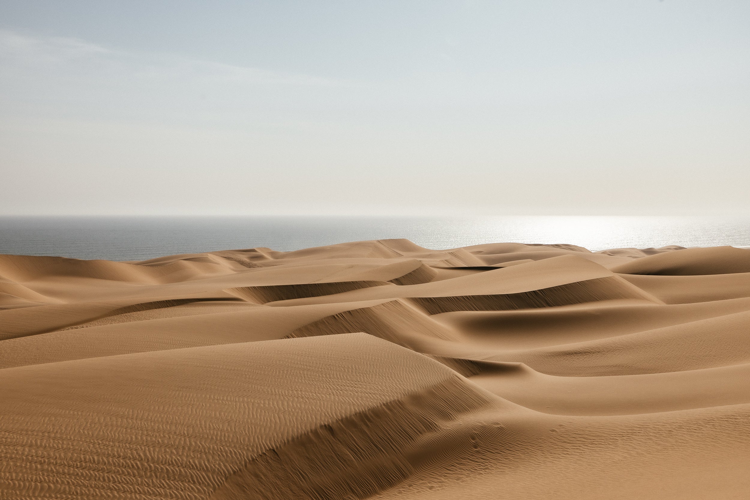   Copyright Opera Campi