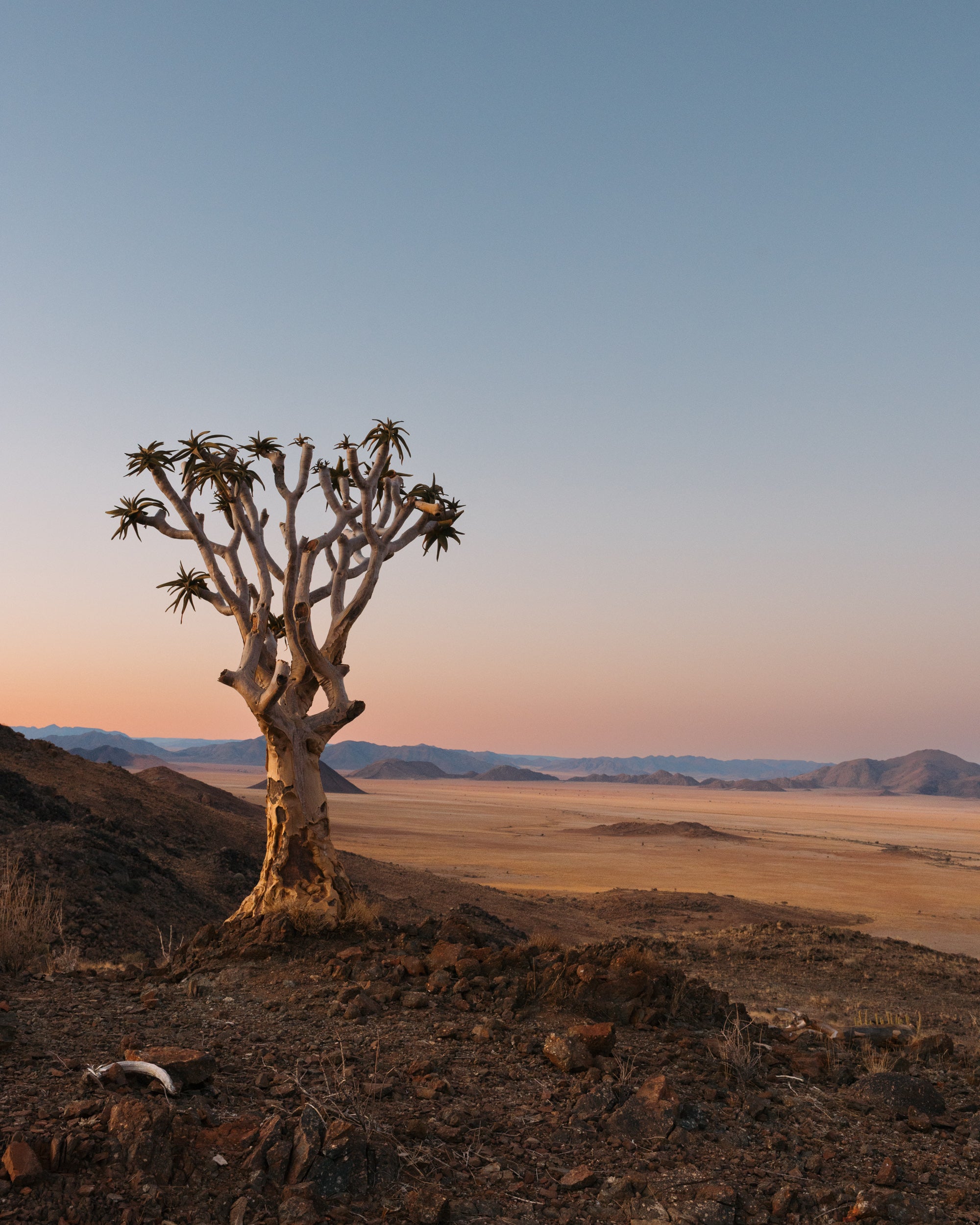   Copyright Opera Campi