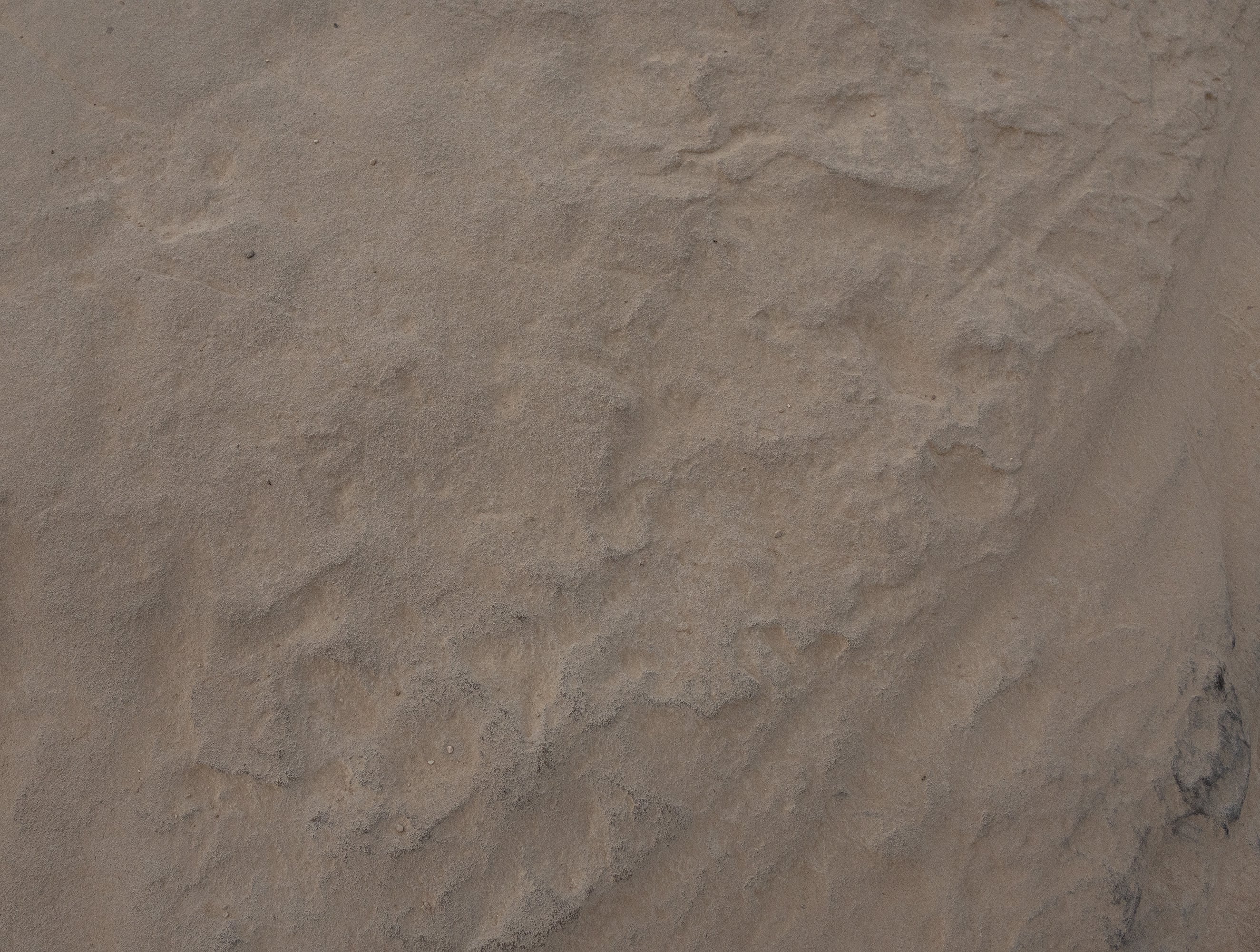   Copyright Opera Campi