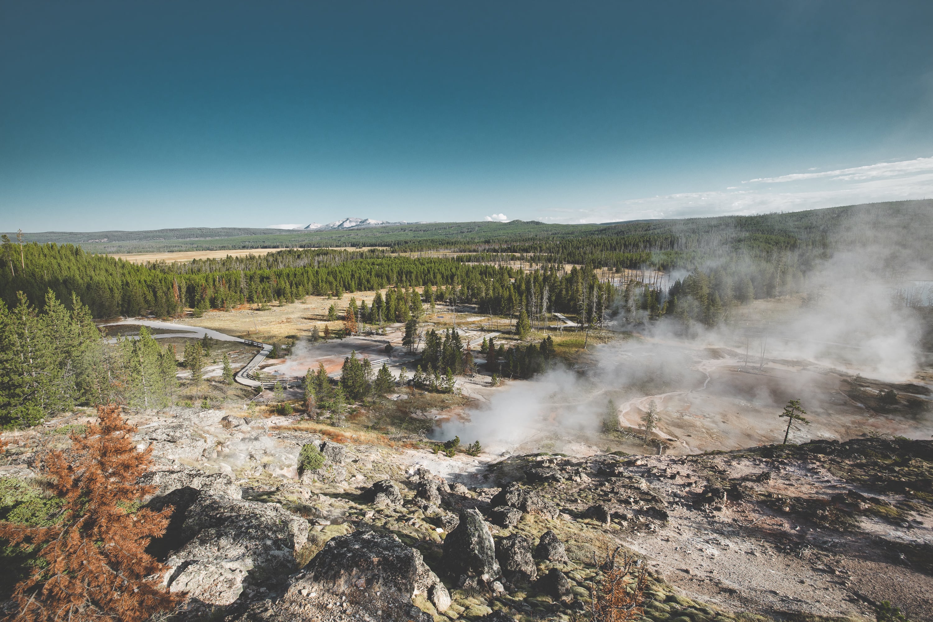  Parco Nazionale di Yellowstone Copyright Opera Campi