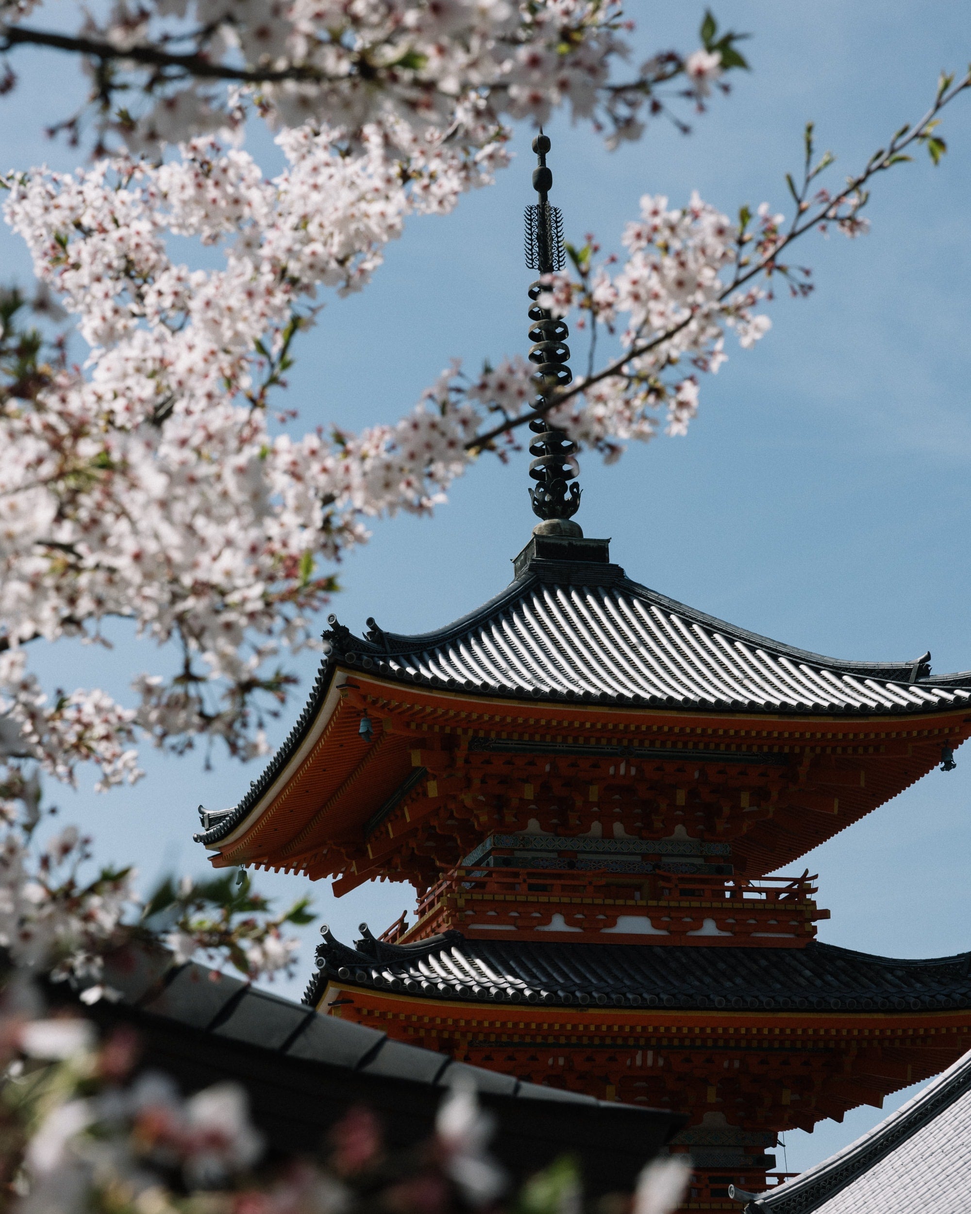   Copyright Opera Campi