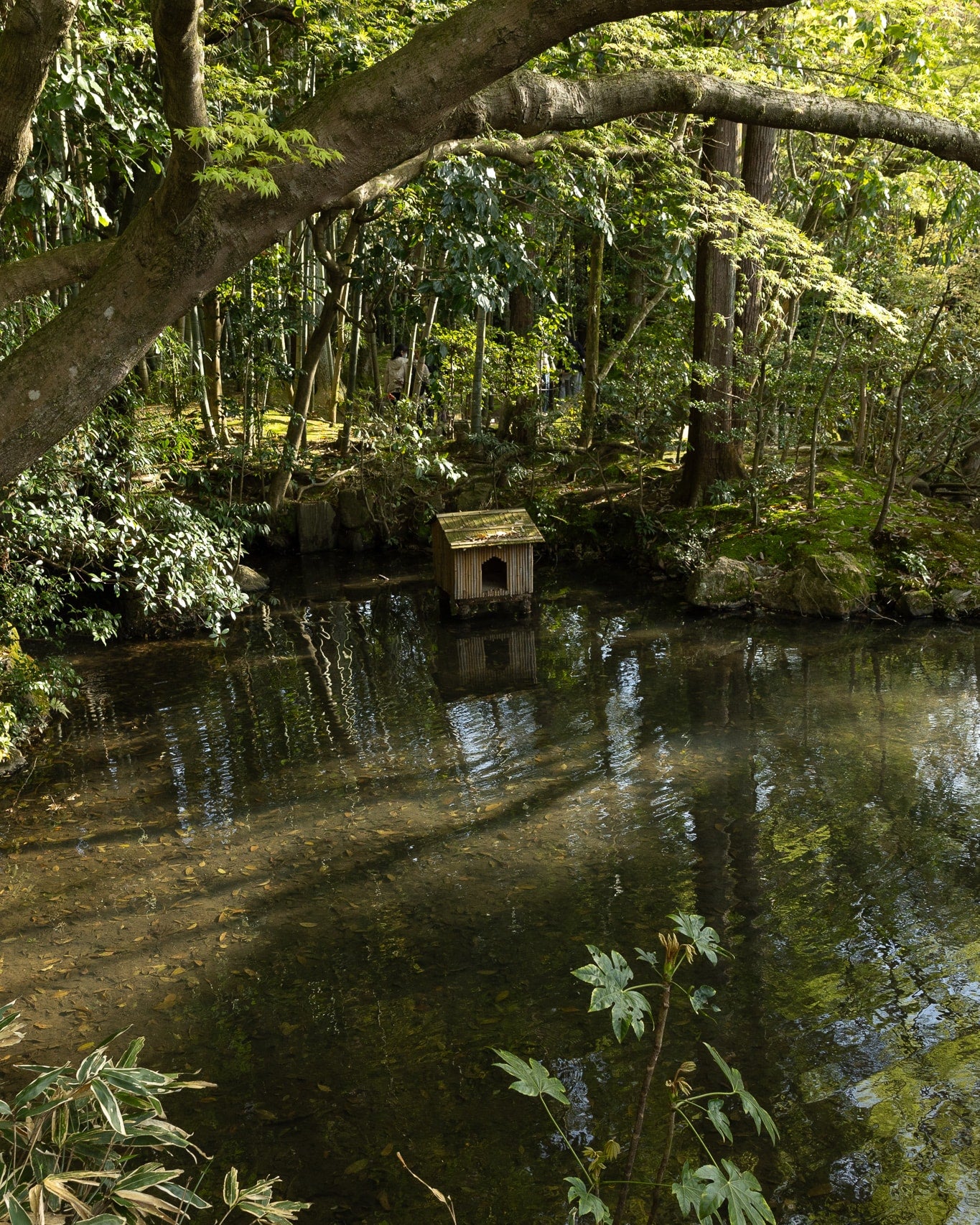   Copyright Opera Campi