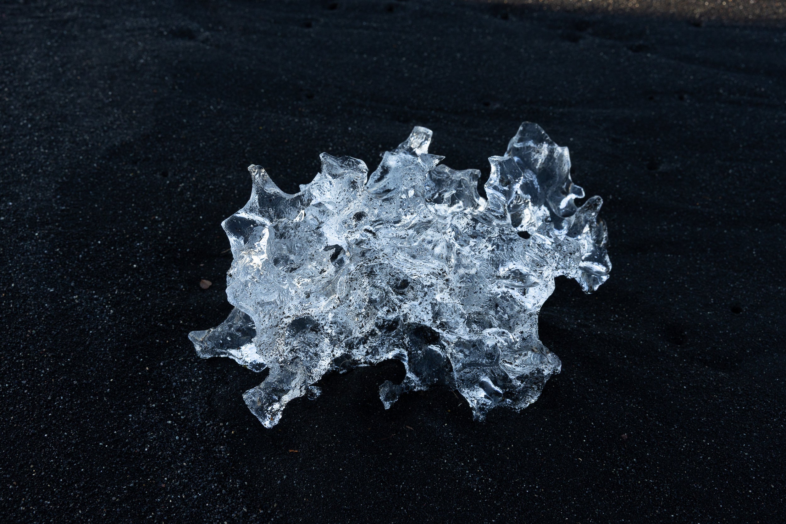   Copyright Opera Campi