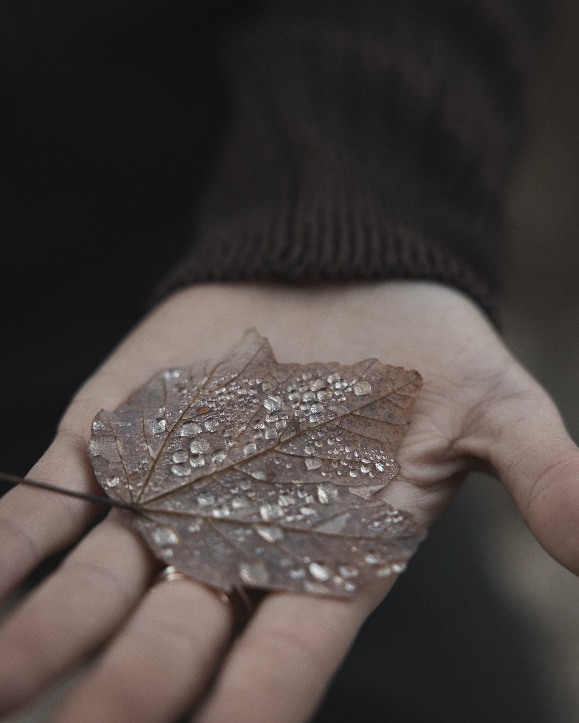  Parma Copyright Opera Campi