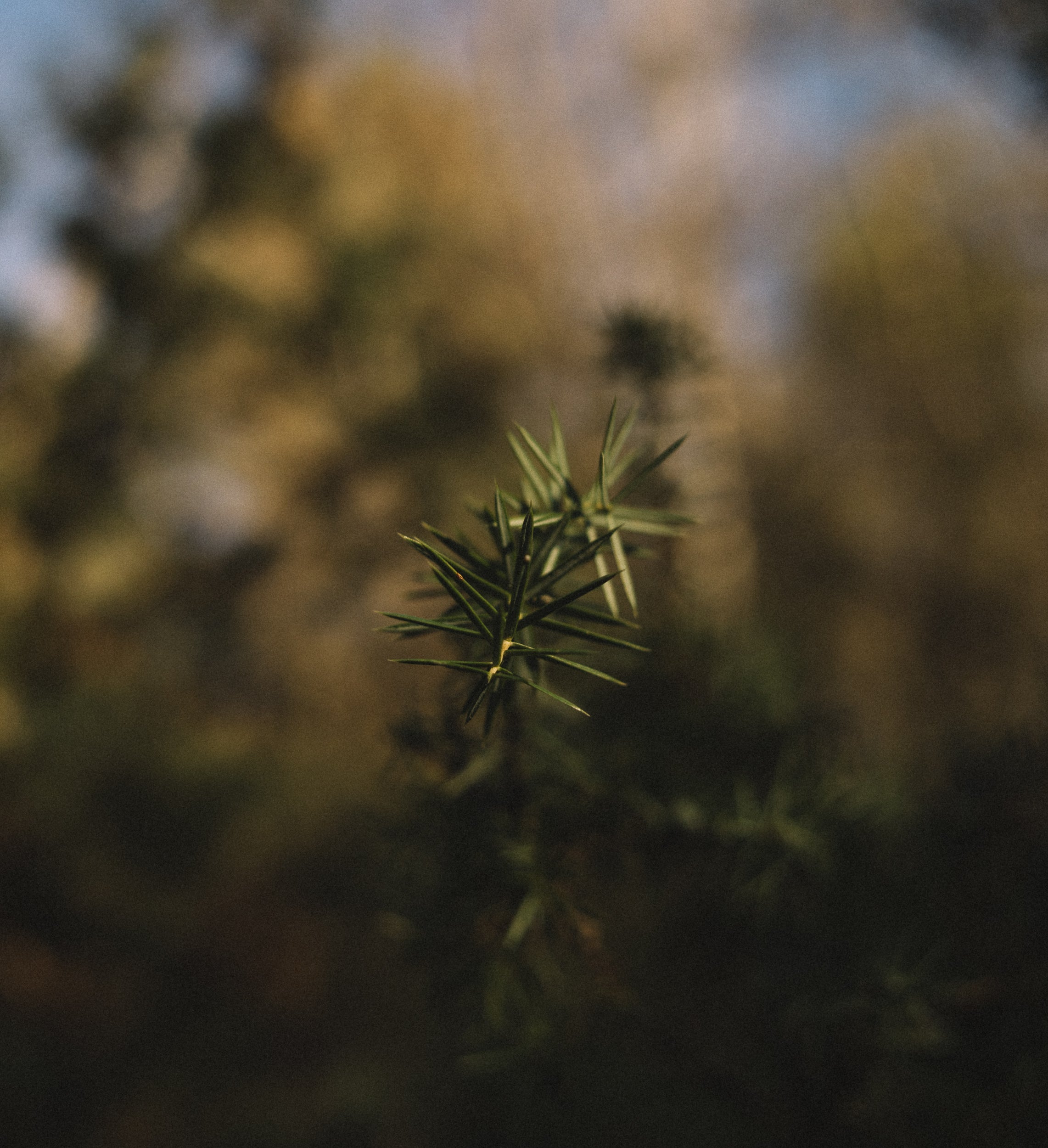  Parma Copyright Opera Campi