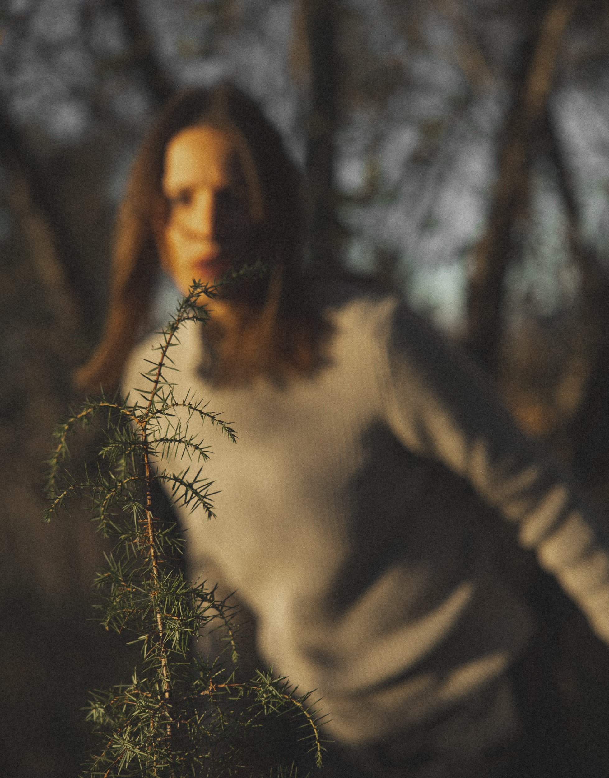  Parma Copyright Opera Campi