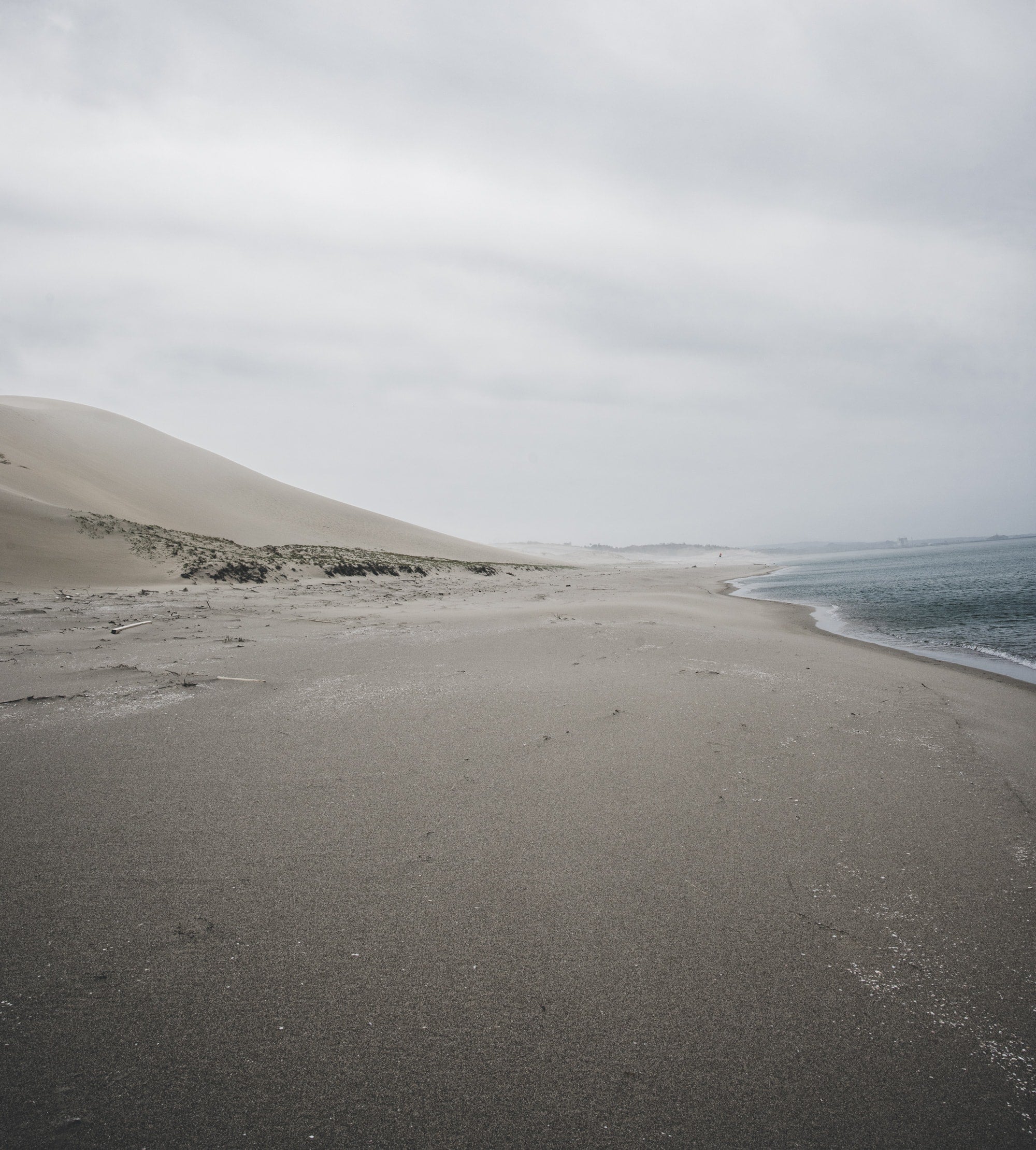   Copyright Opera Campi