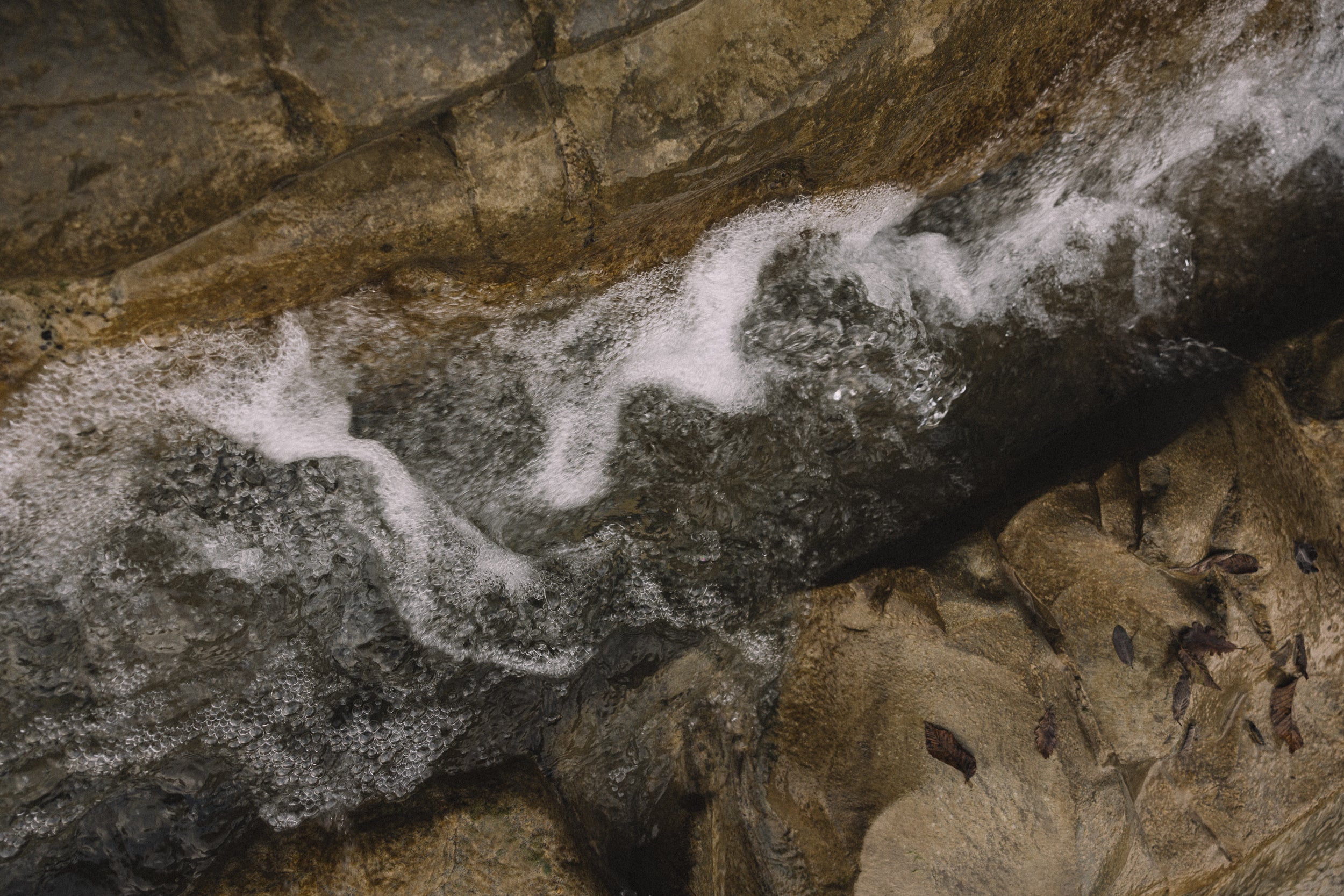   Copyright Opera Campi