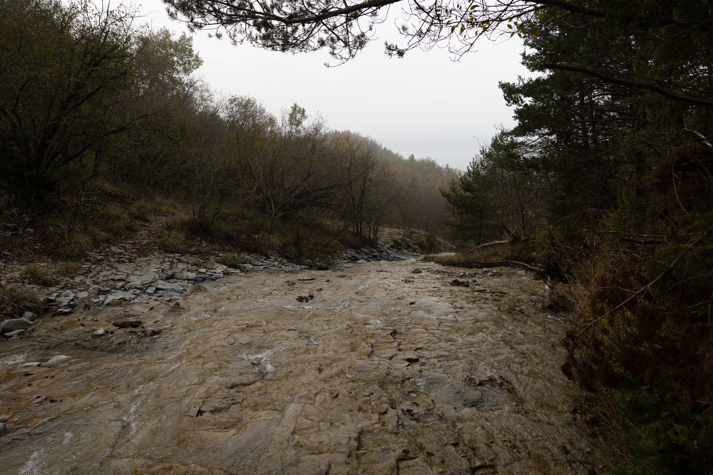  Tizzano, Parma Copyright Opera Campi