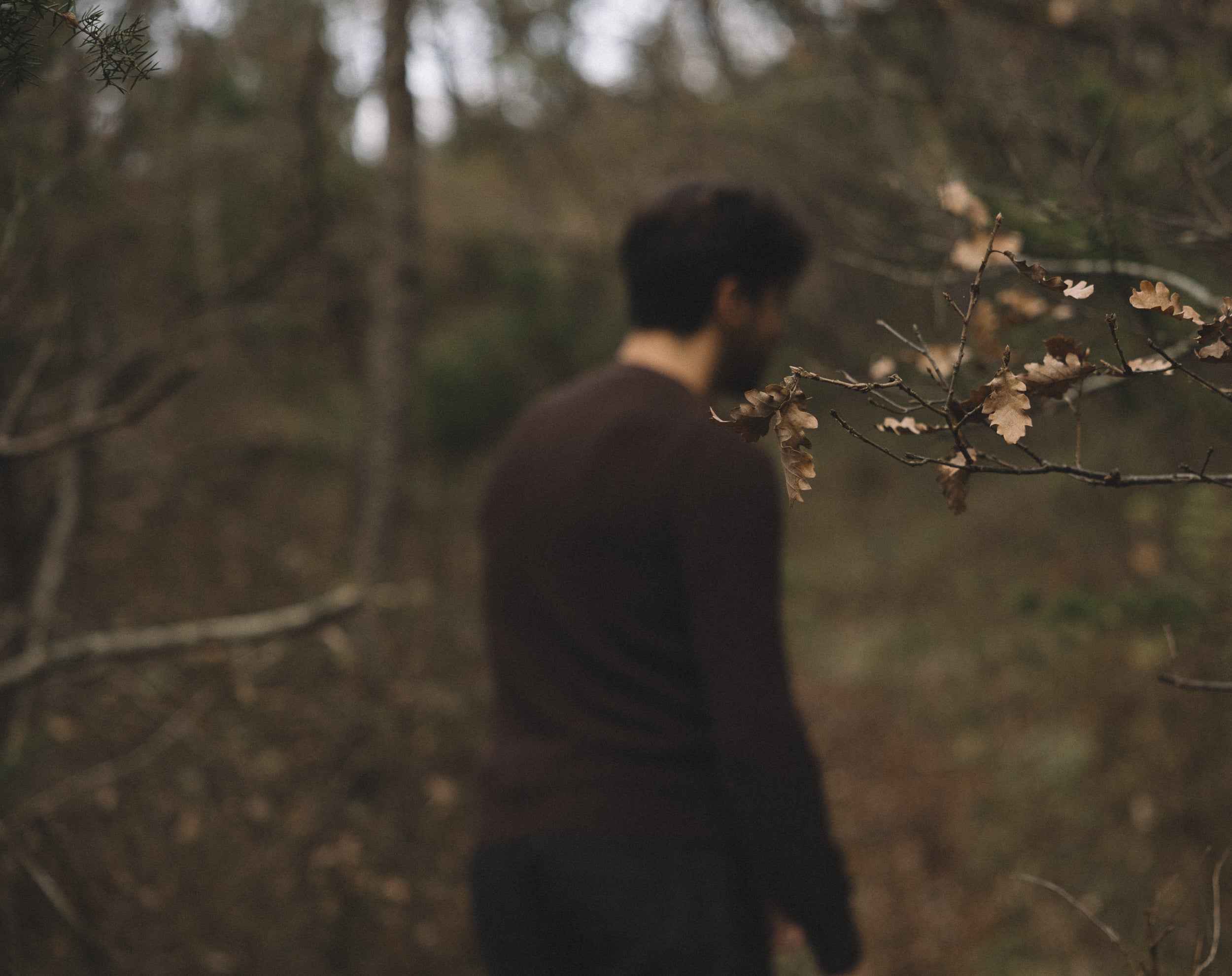  Parma Copyright Opera Campi