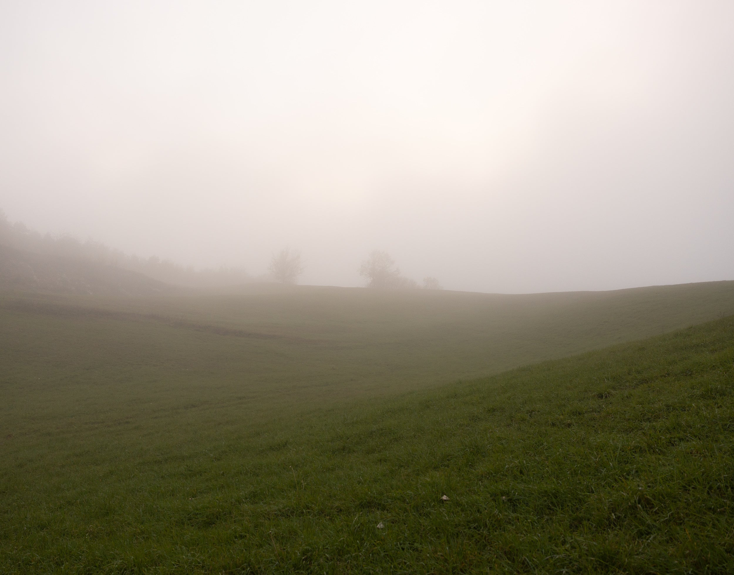  Parma Copyright Opera Campi