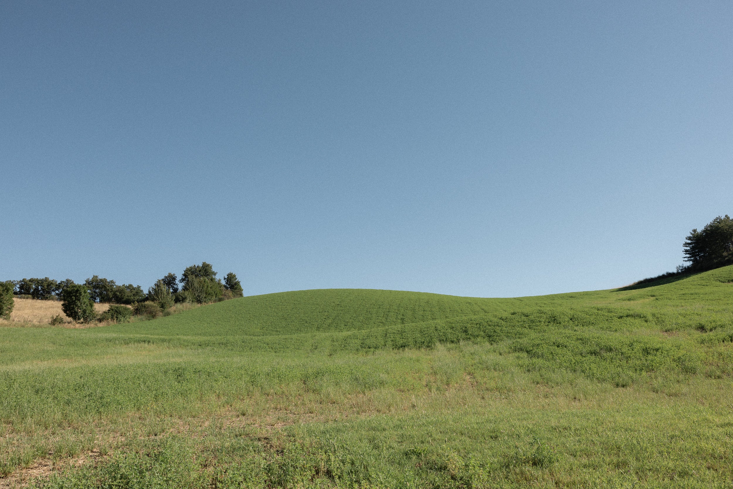  Parma Copyright Opera Campi