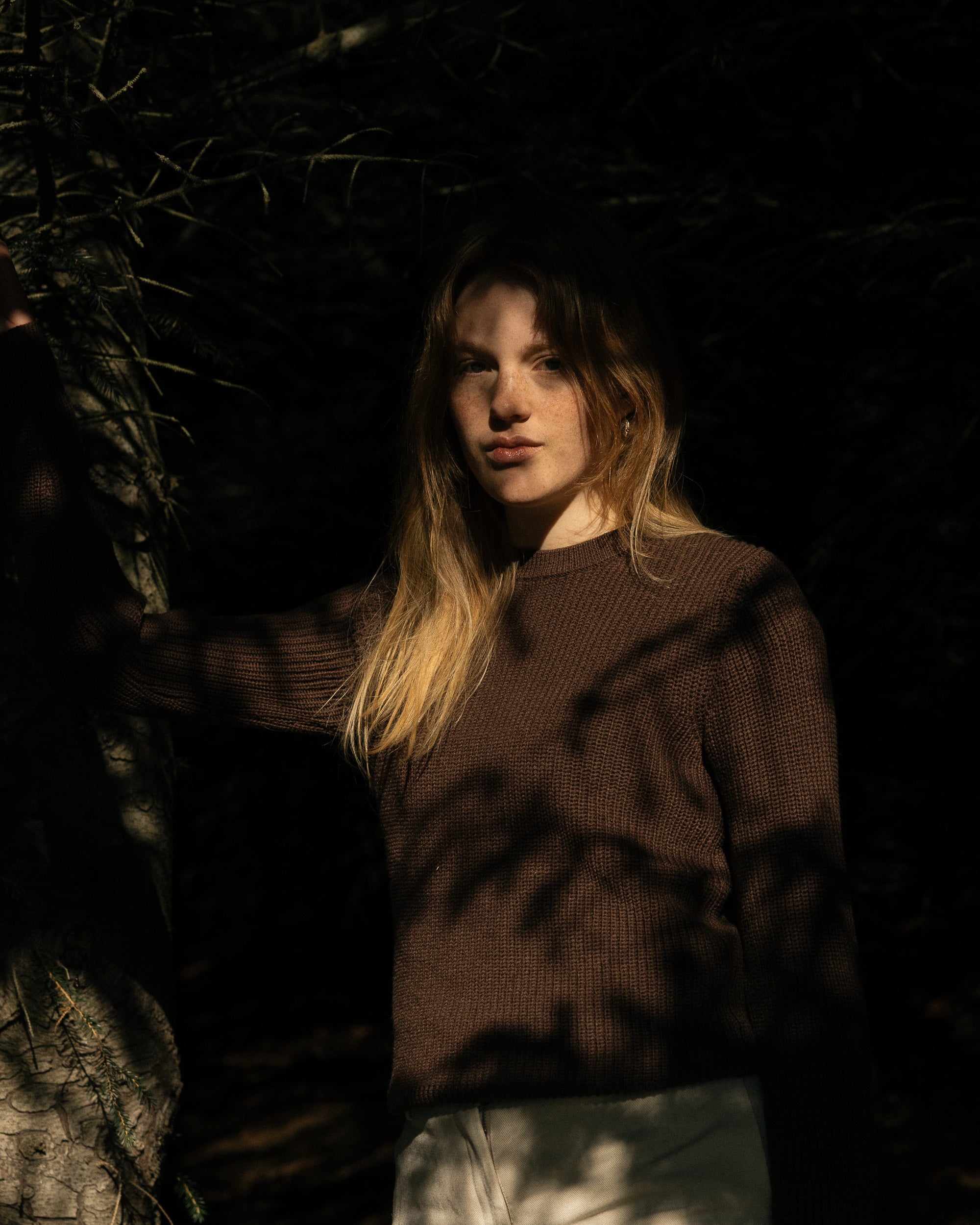   Copyright Opera Campi