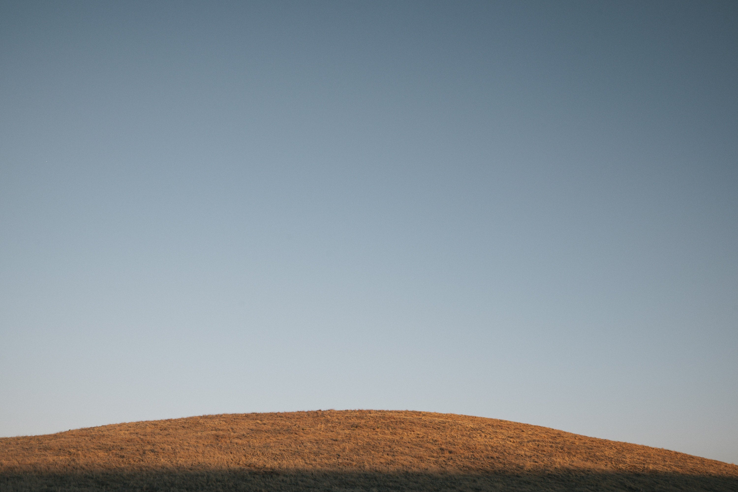  Arizona Copyright Opera Campi