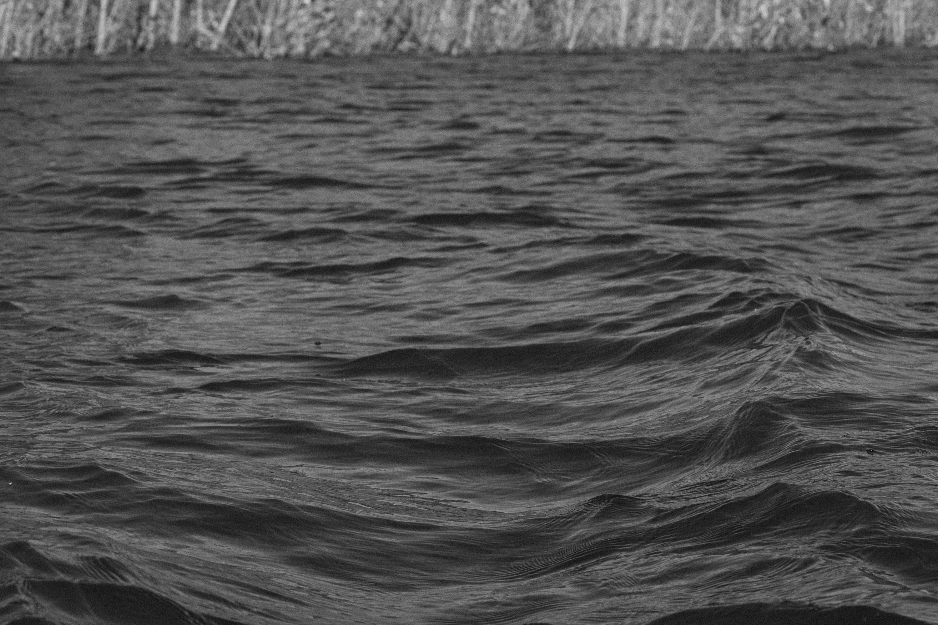   Copyright Opera Campi