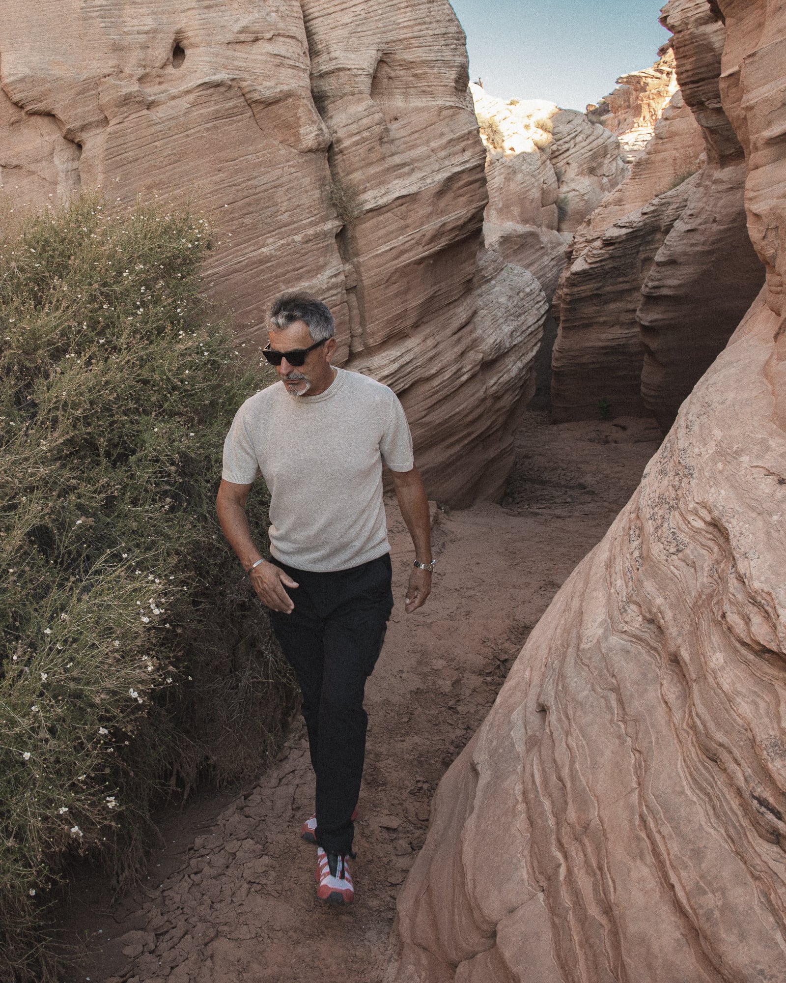   Copyright Opera Campi