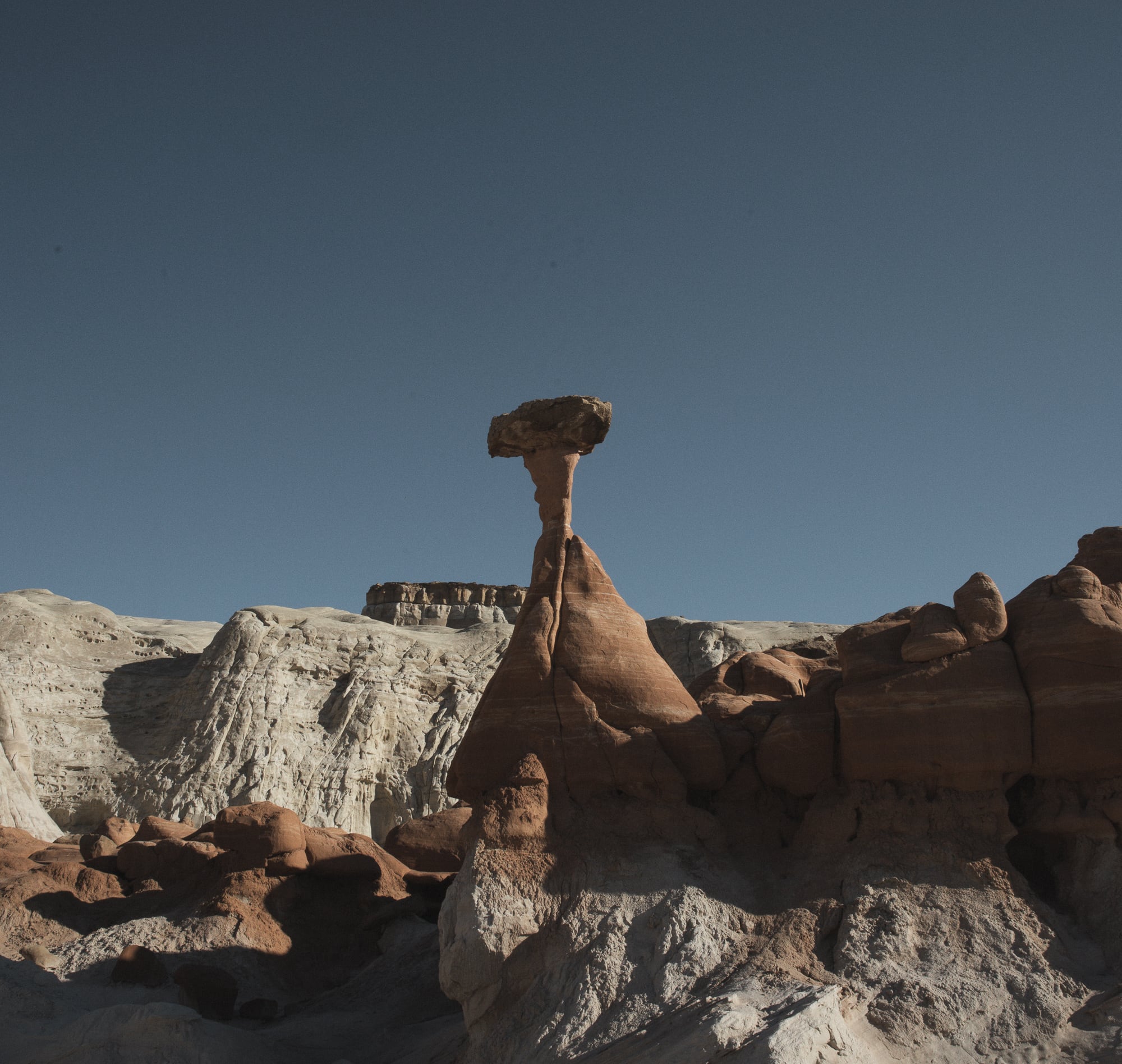   Copyright Opera Campi