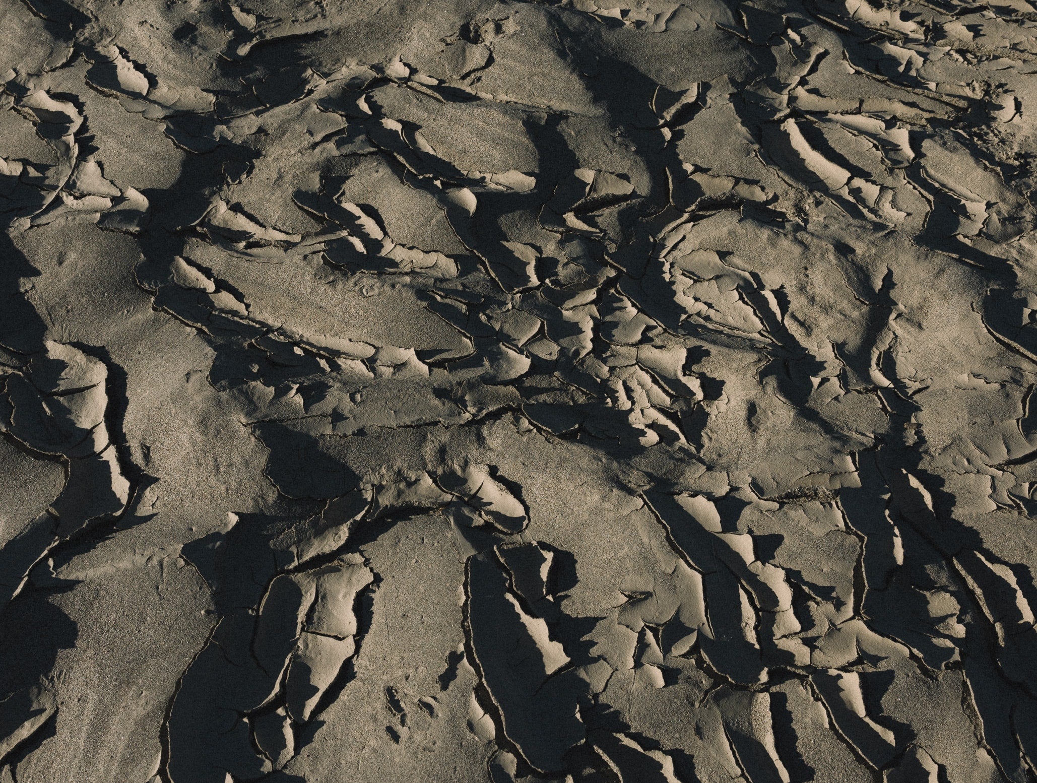   Copyright Opera Campi