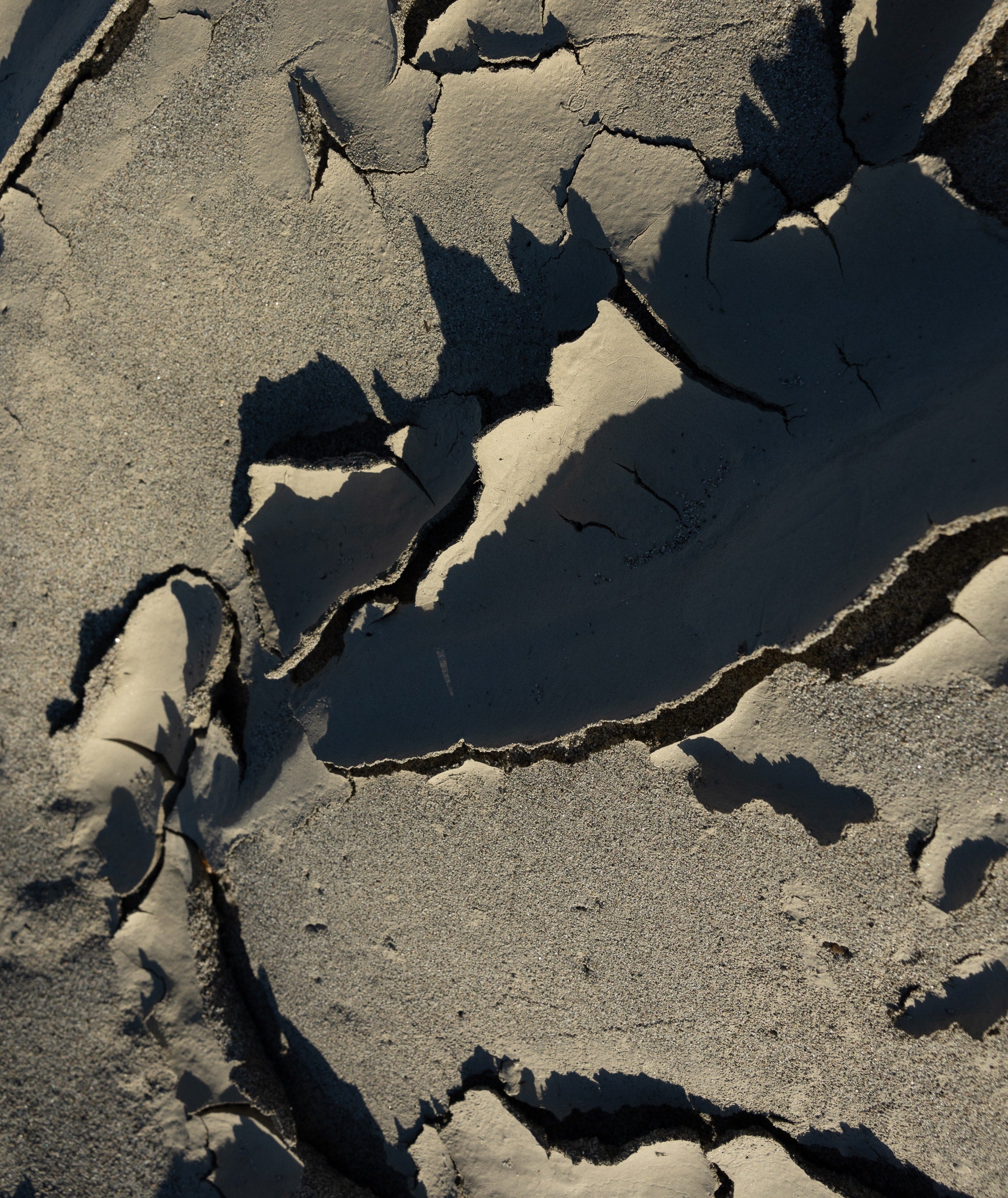   Copyright Opera Campi