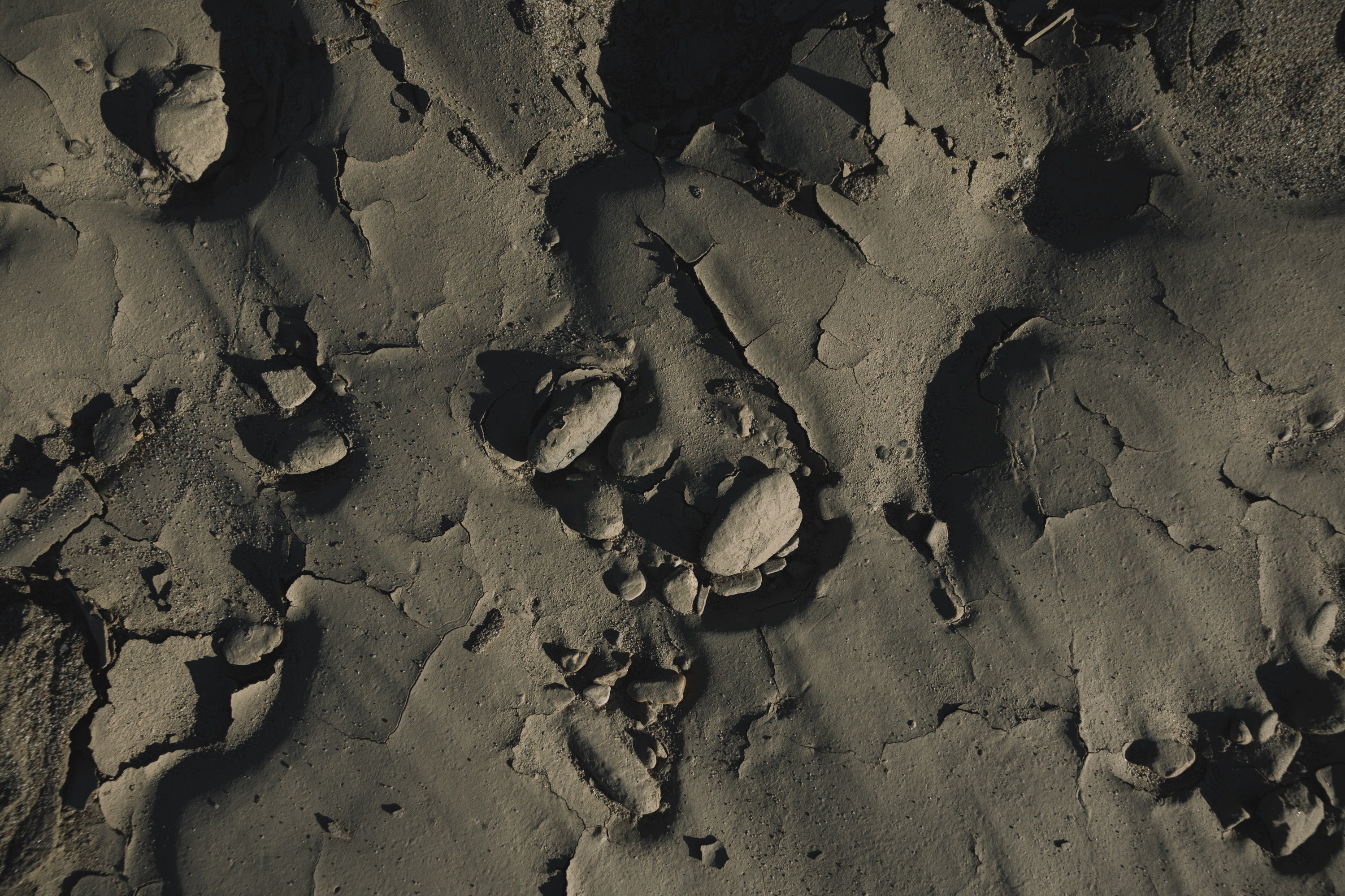   Copyright Opera Campi