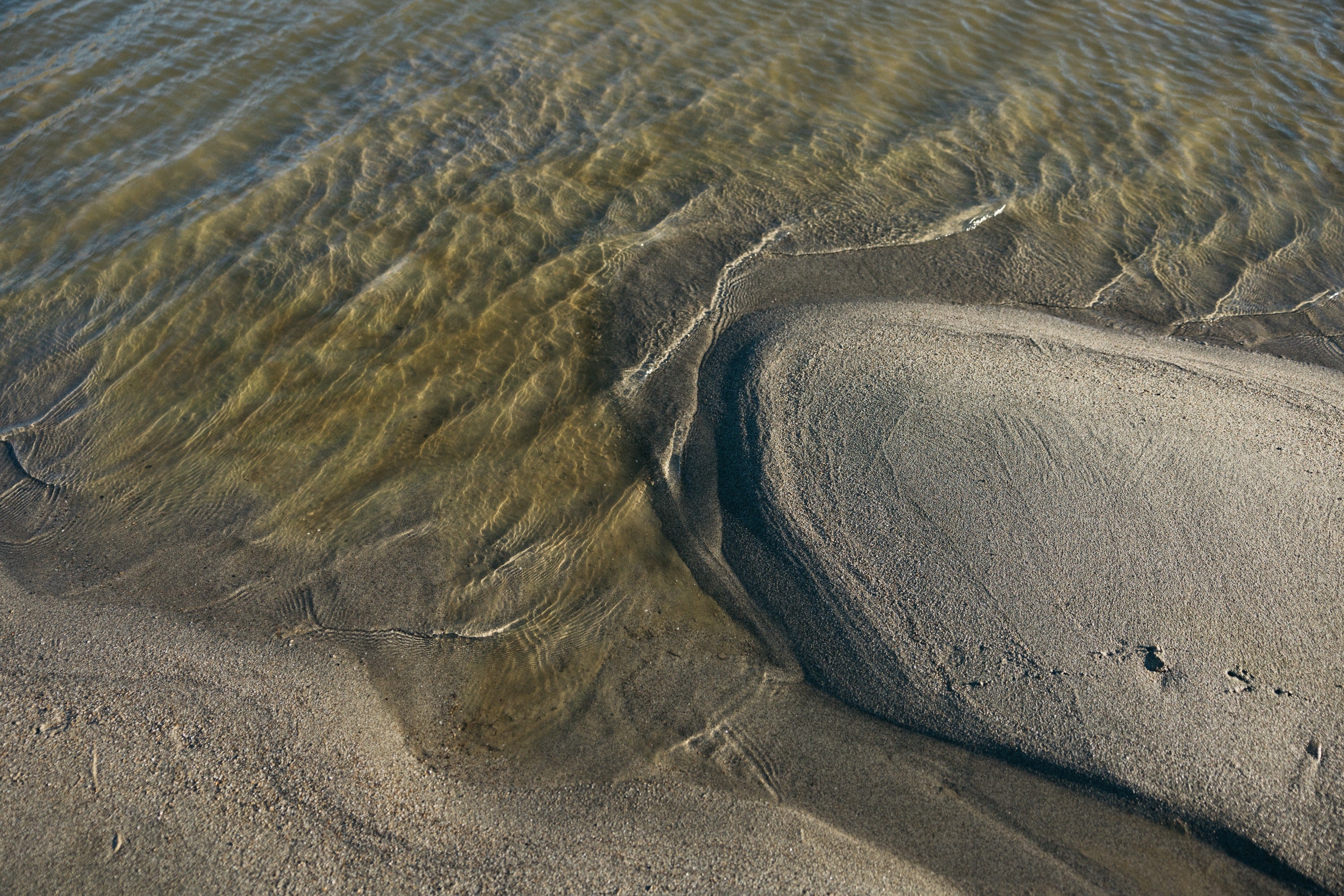   Copyright Opera Campi