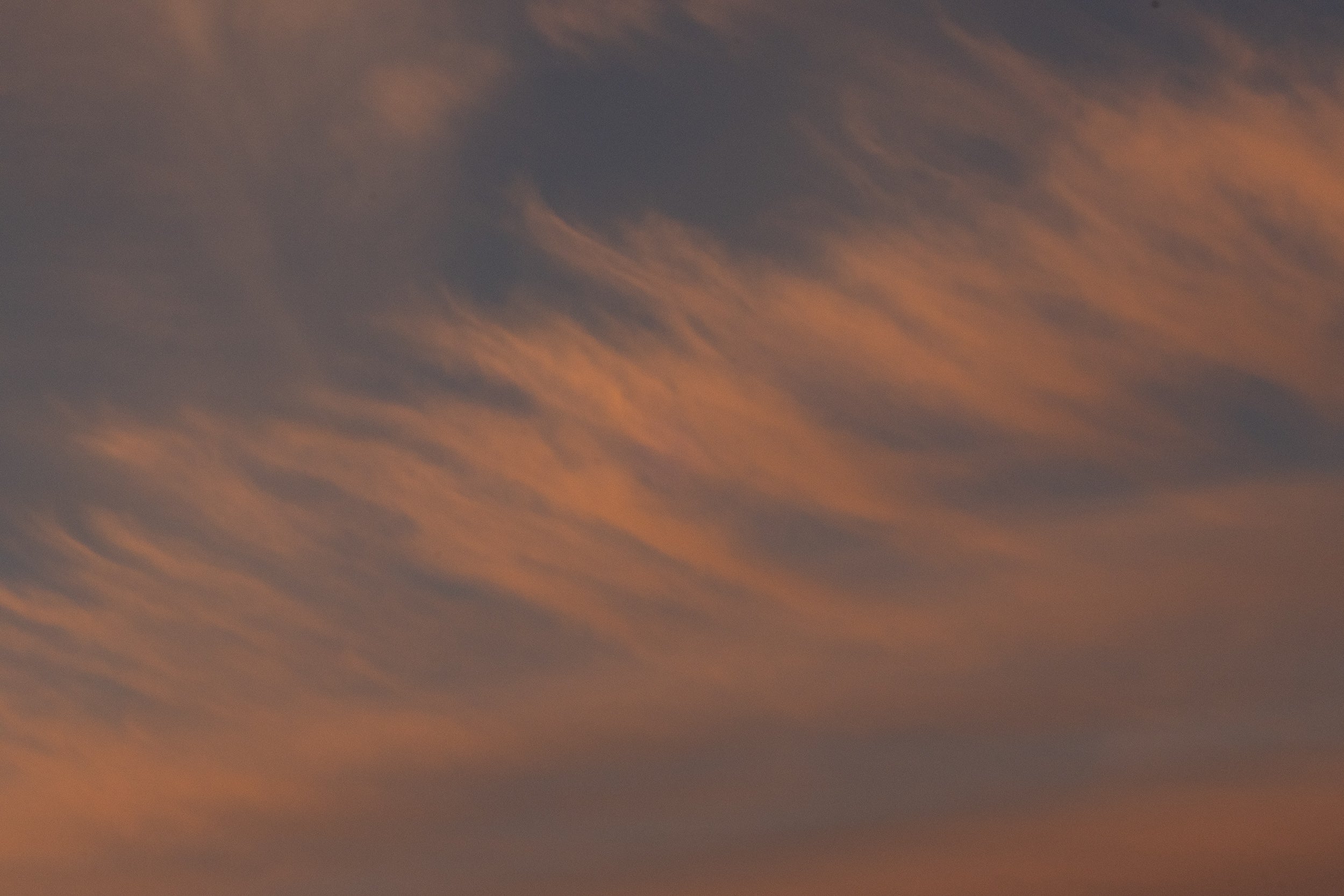   Copyright Opera Campi