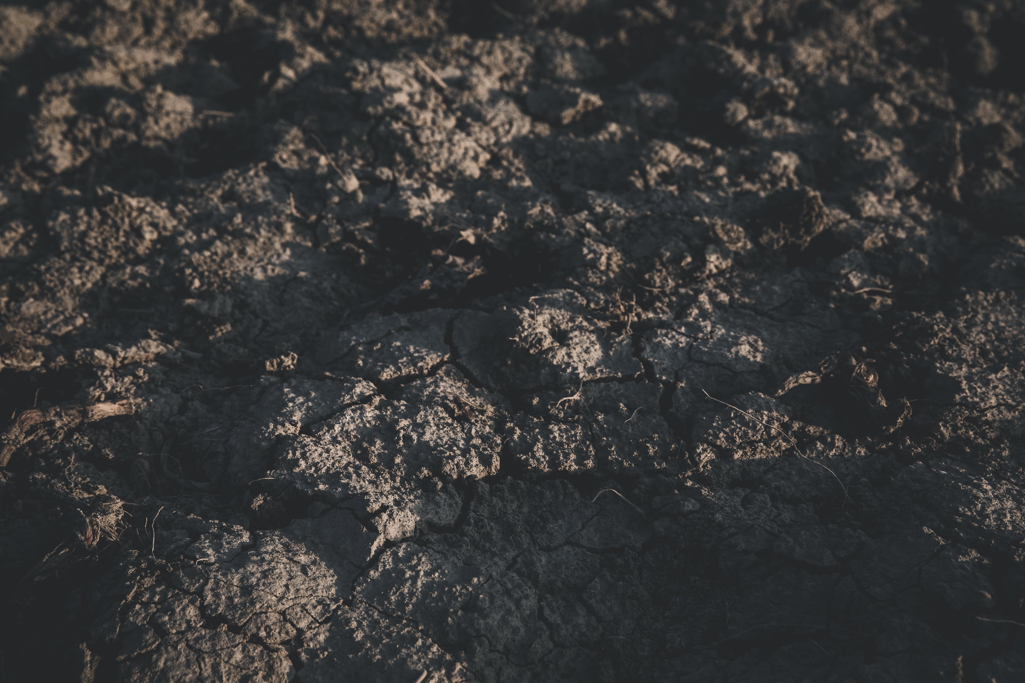  Parma Copyright Opera Campi