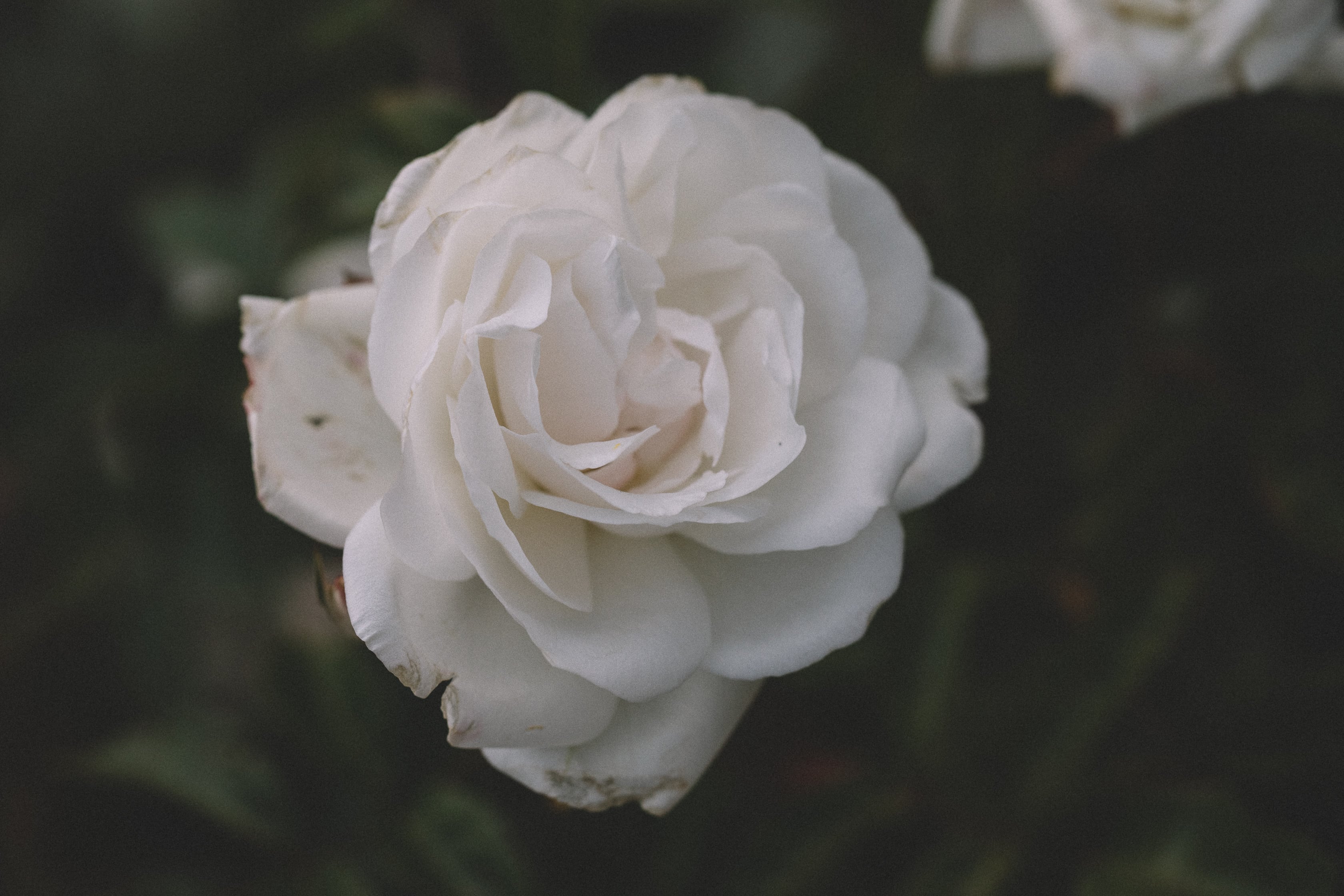  Isola del Sol, Bolivia Copyright Opera Campi