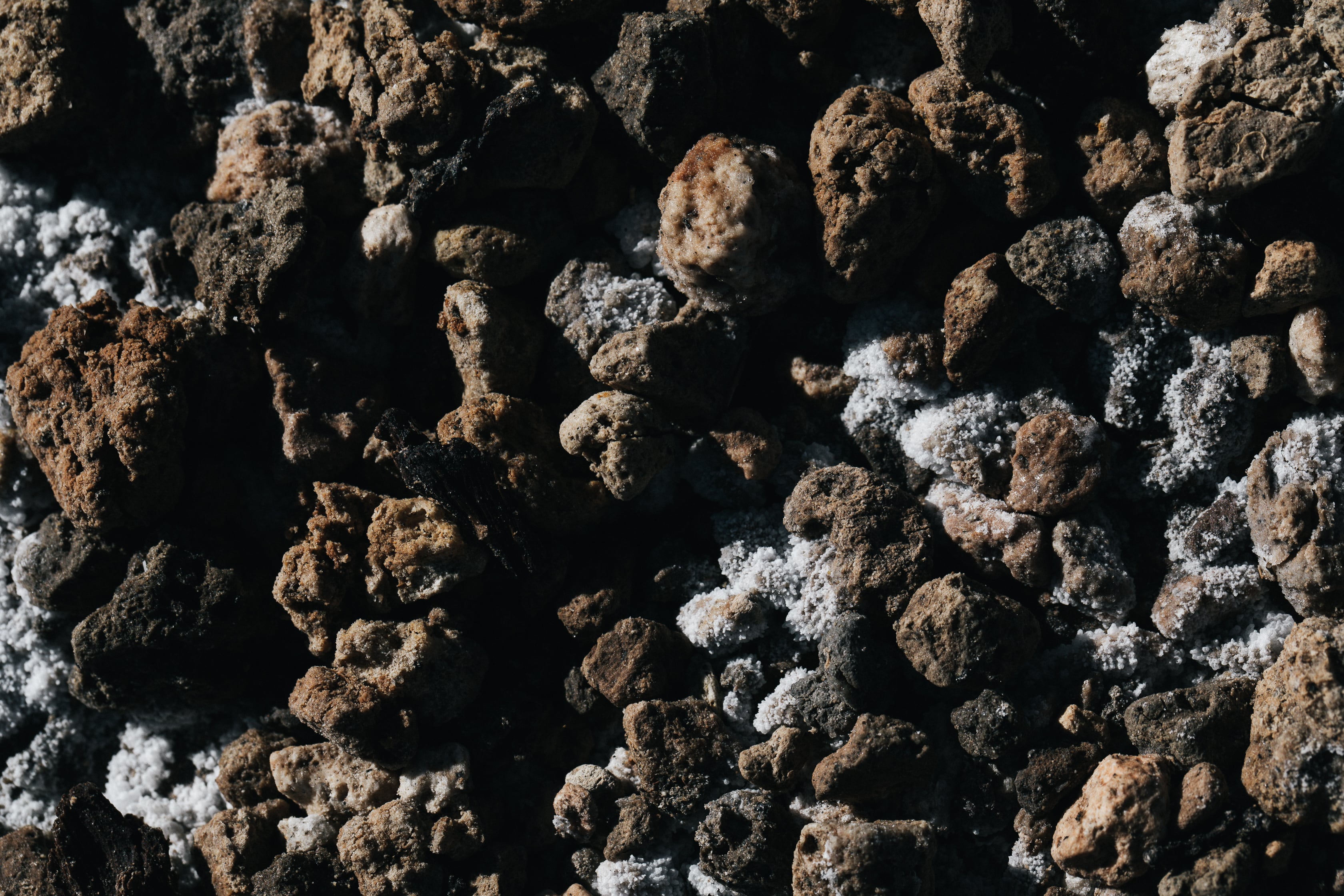   Copyright Opera Campi