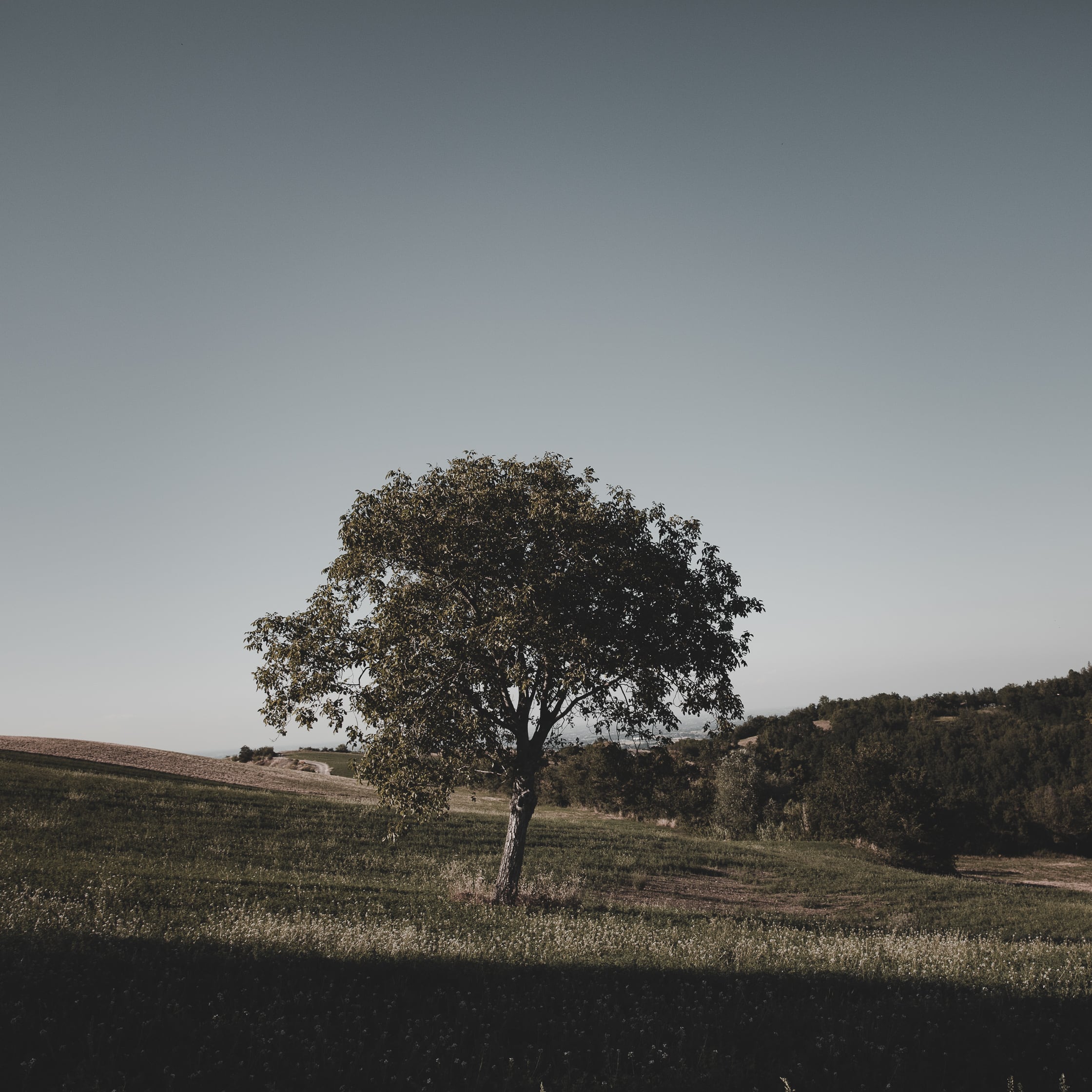   Copyright Opera Campi