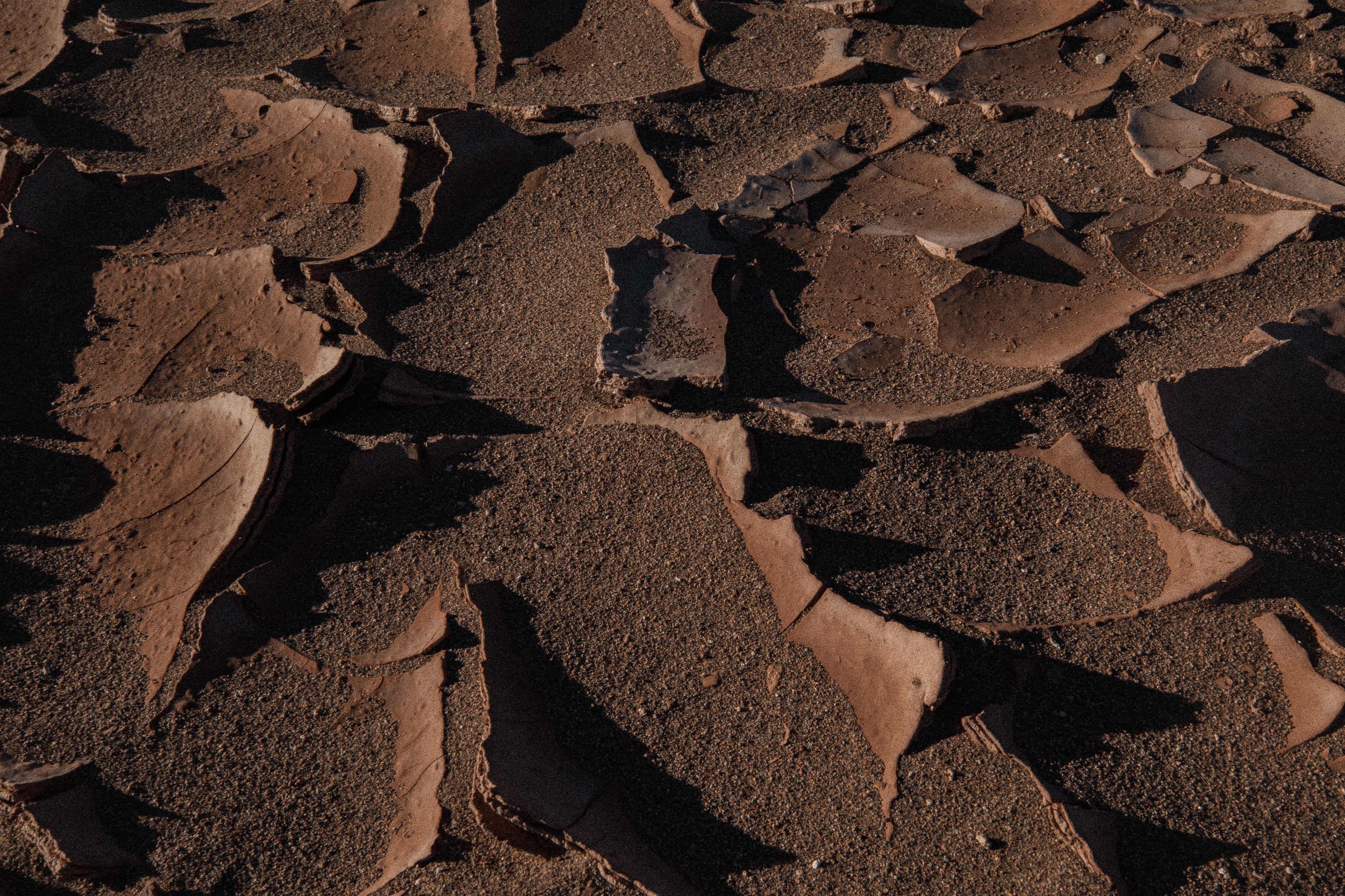  Pedro de Atacama, Cile Copyright Opera Campi