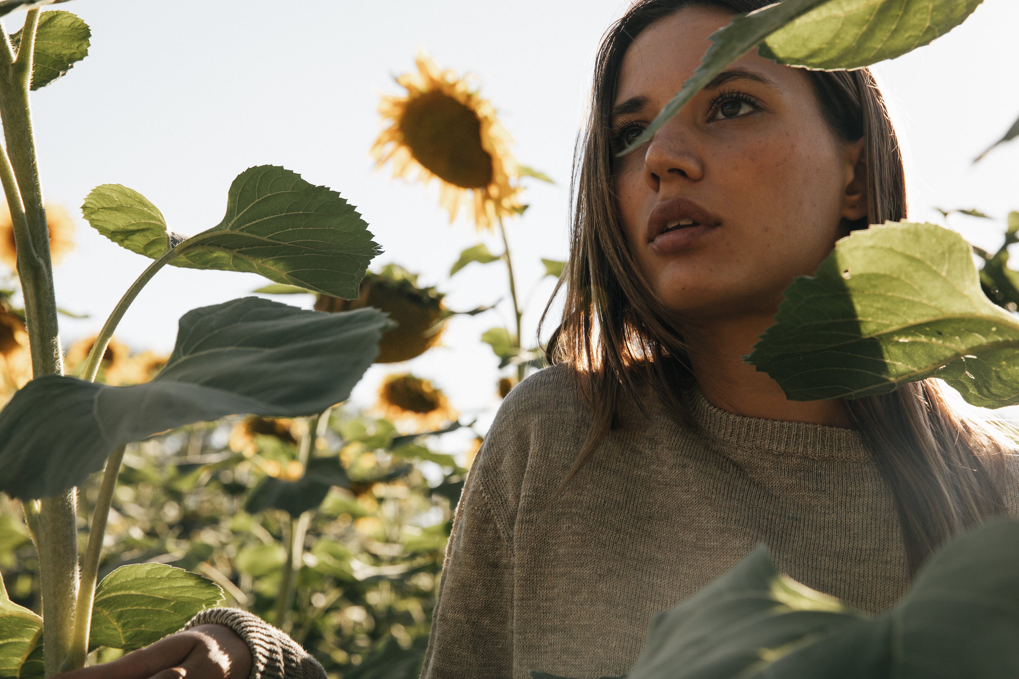  Parma Copyright Opera Campi