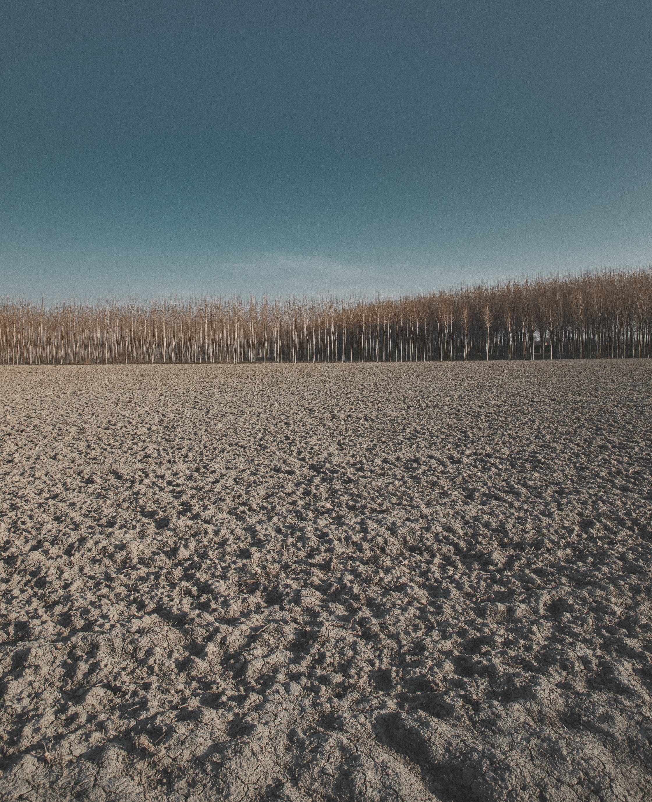  Parma Copyright Opera Campi