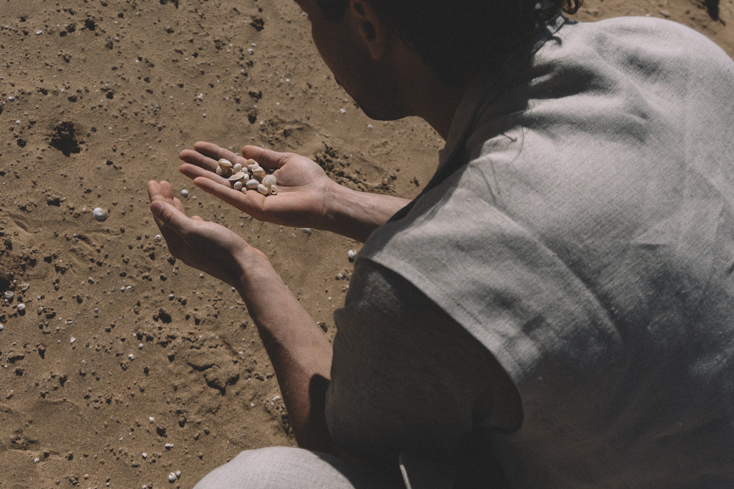   Copyright Opera Campi