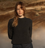 PINO BURRO LANAPA P1