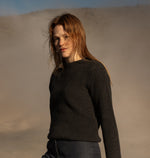 PINO BURRO LANAPA P1